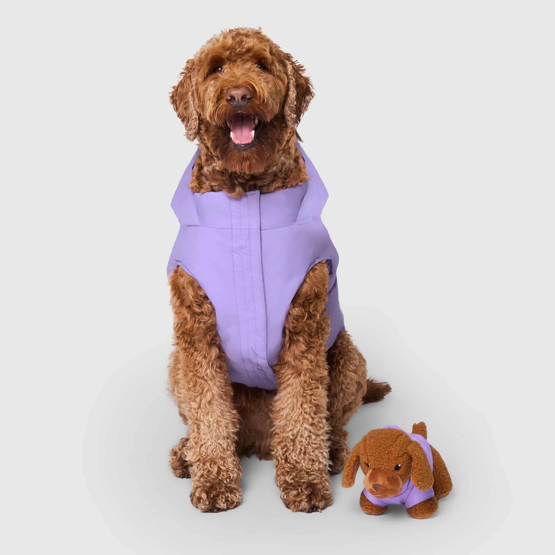 Mini-Me Pooch Pal - Image 3