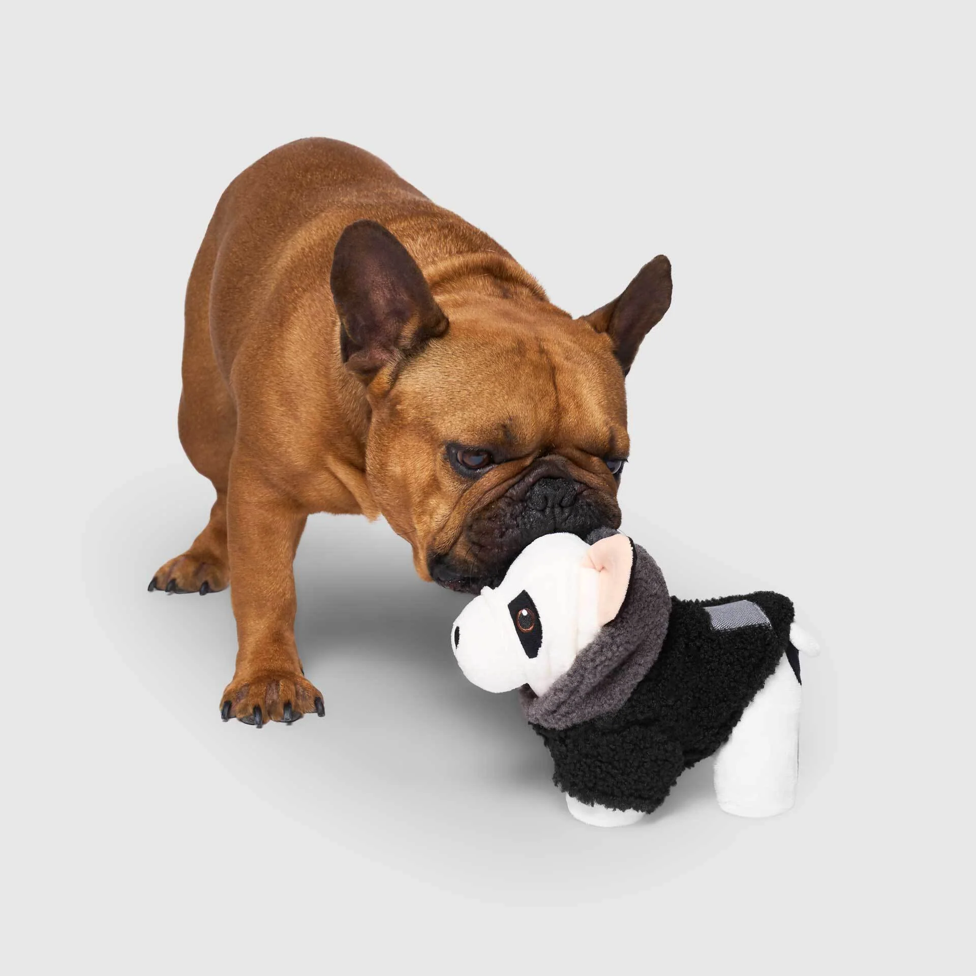 Mini-Me Pooch Pal - Image 5