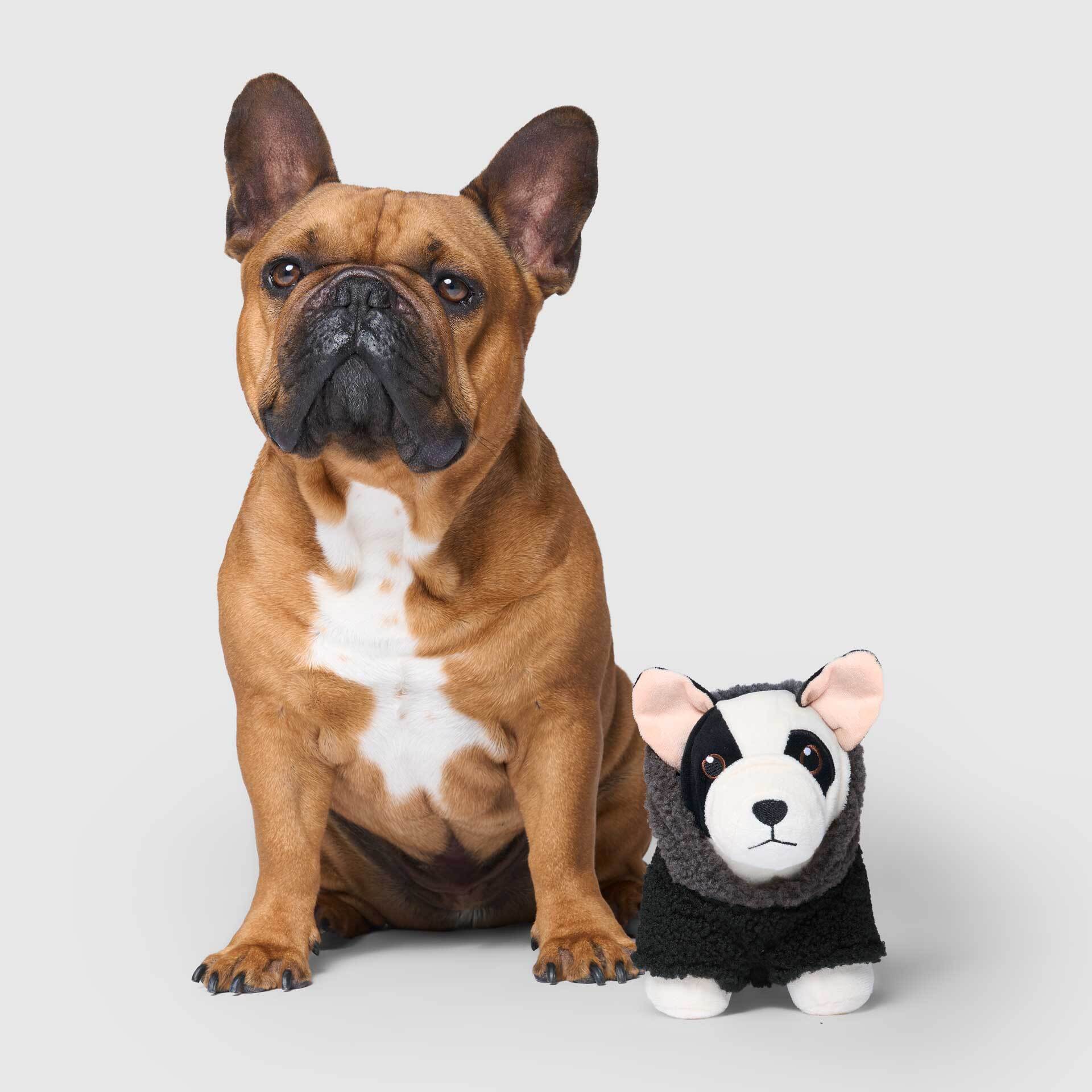 Mini-Me Pooch Pal - Image 6