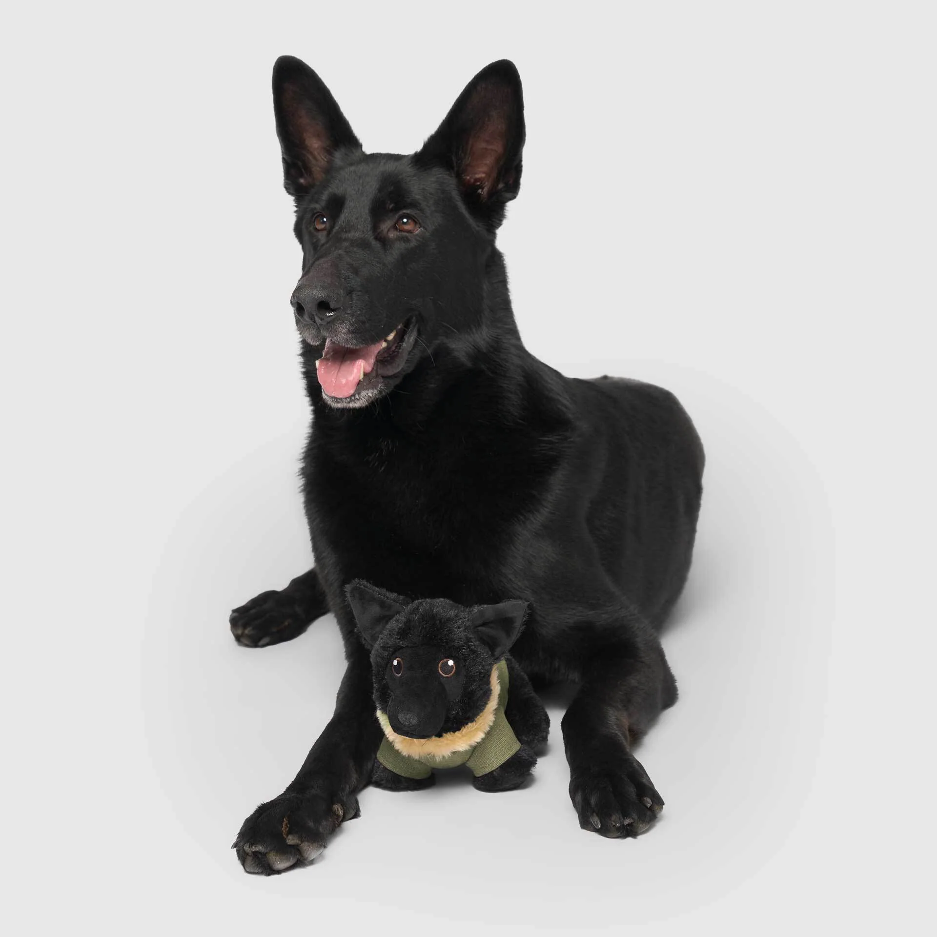 Mini-Me Pooch Pal - Image 8