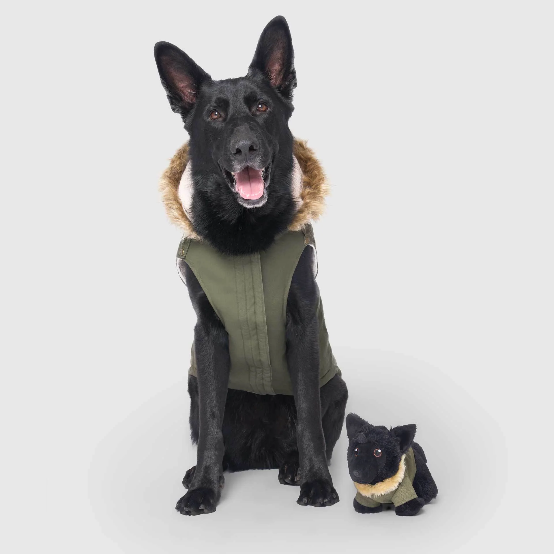 Mini-Me Pooch Pal - Image 9