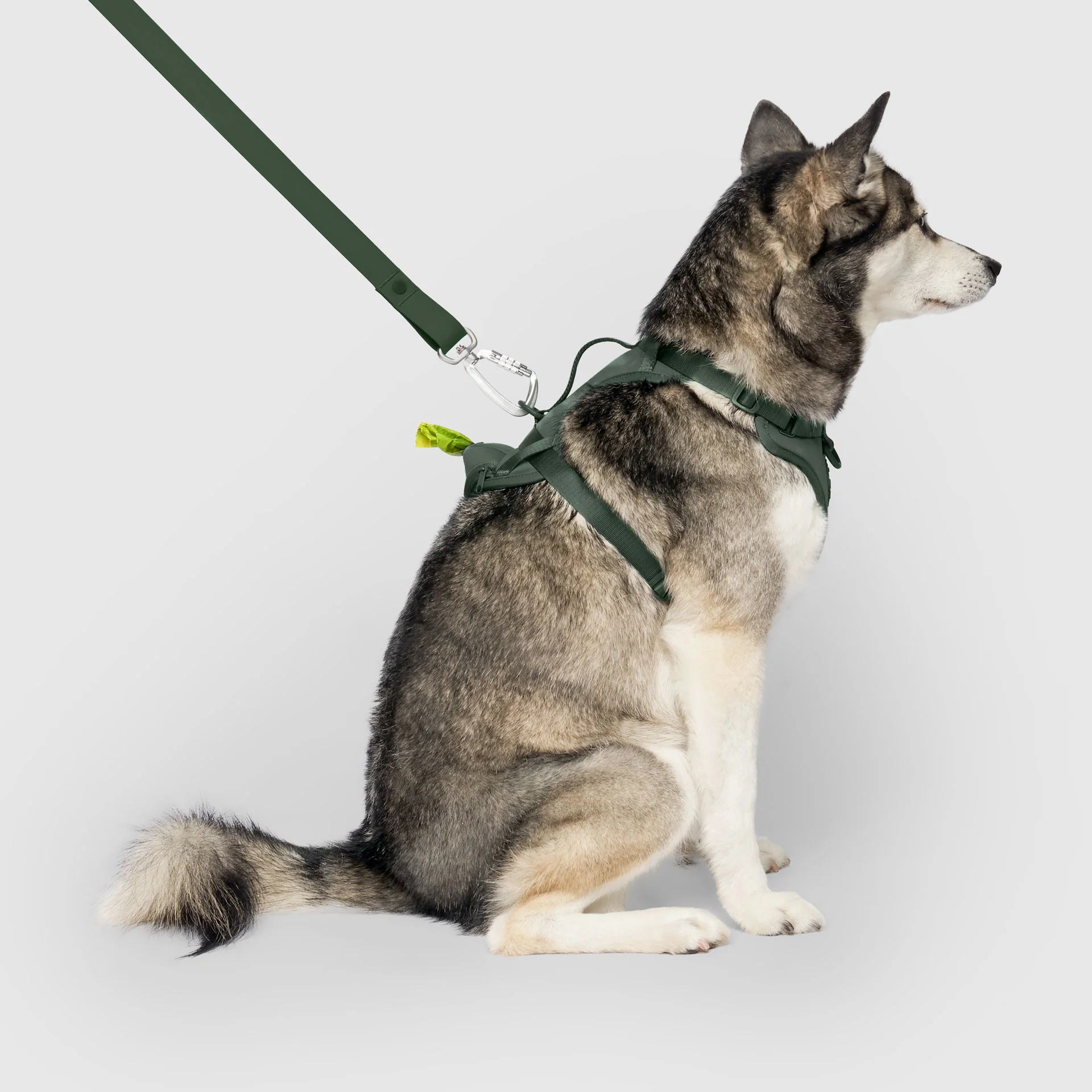 Neoprene Harness - Image 10