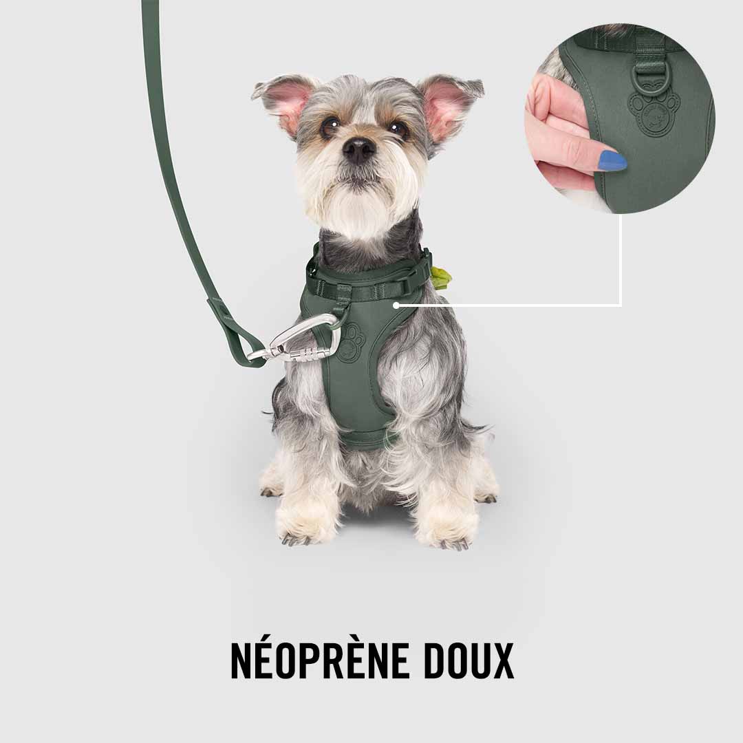 Neoprene Harness - Image 16