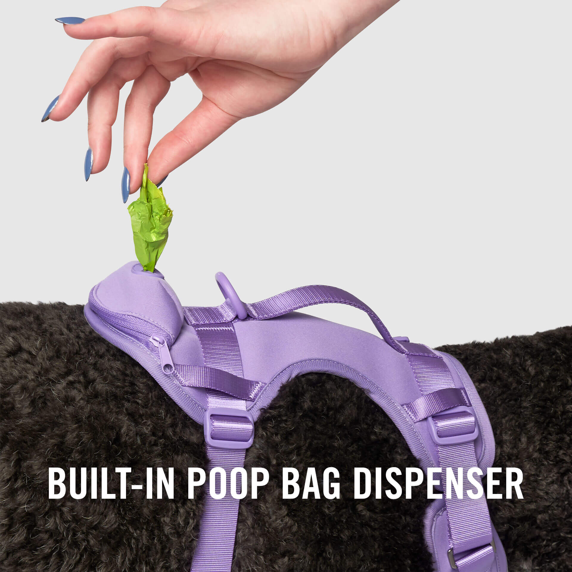 Neoprene Harness - Image 19