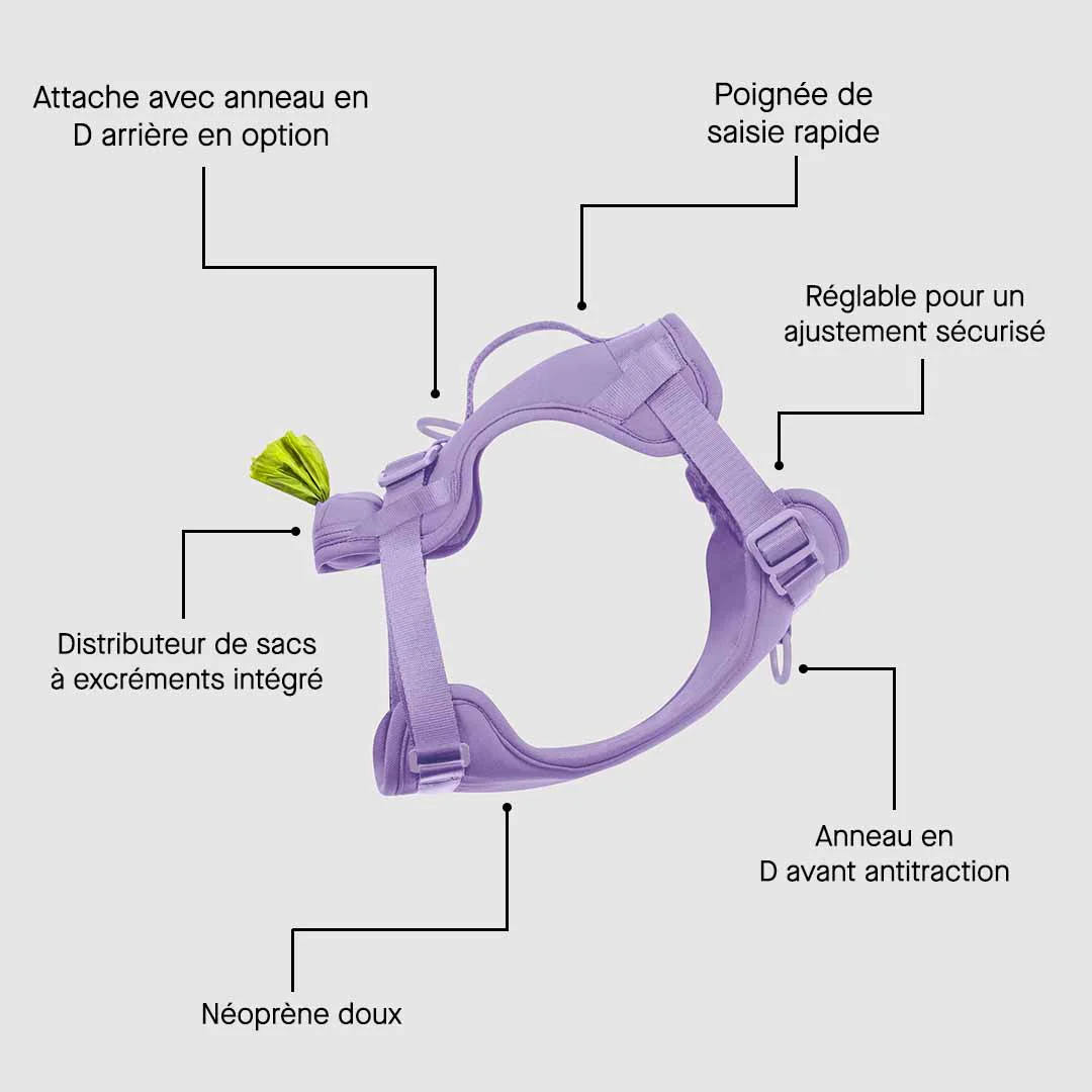 Neoprene Harness - Image 22