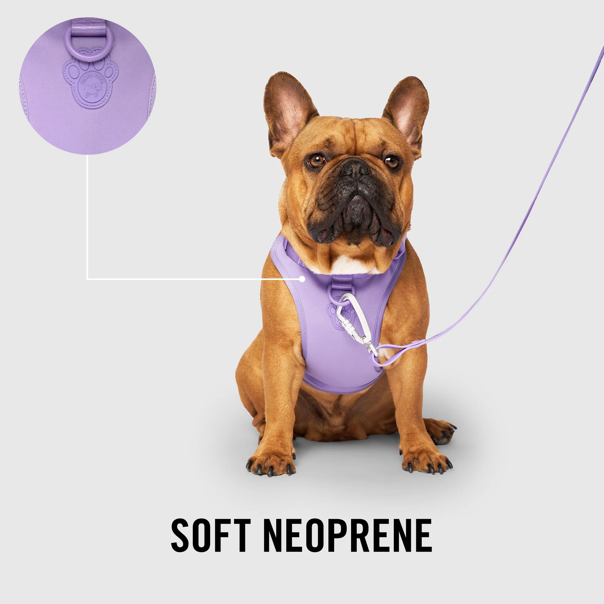 Neoprene Harness - Image 23