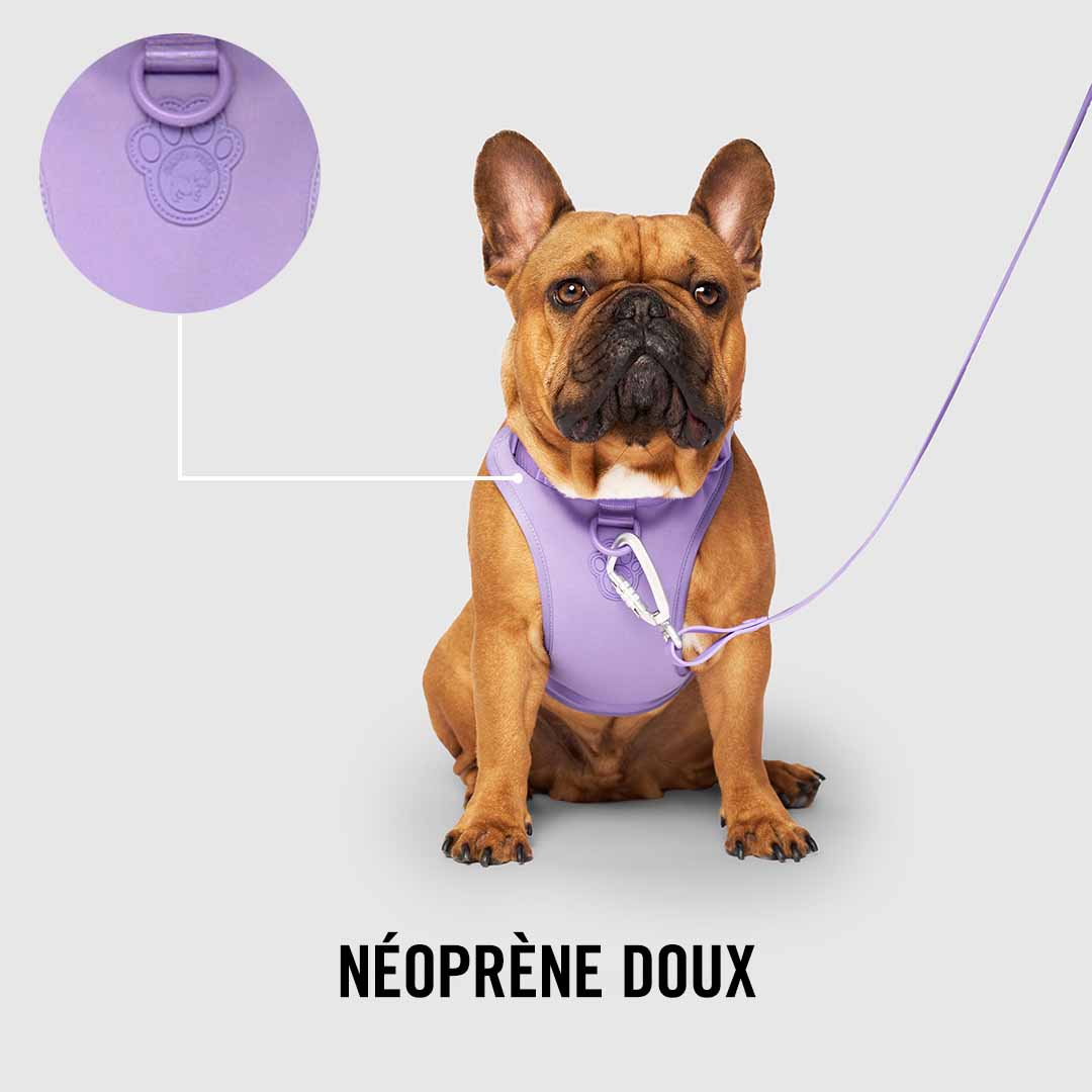 Neoprene Harness - Image 24