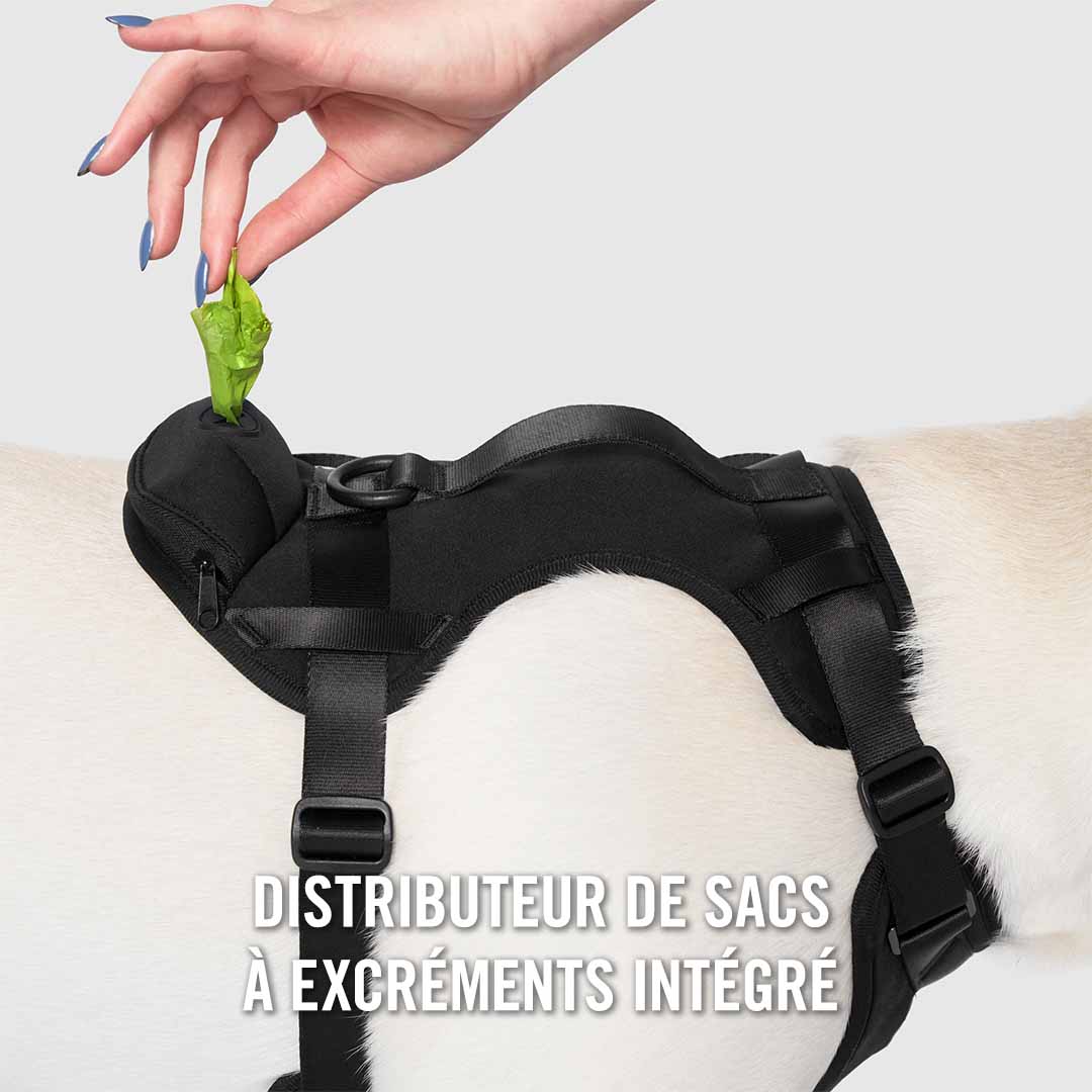 Neoprene Harness - Image 4