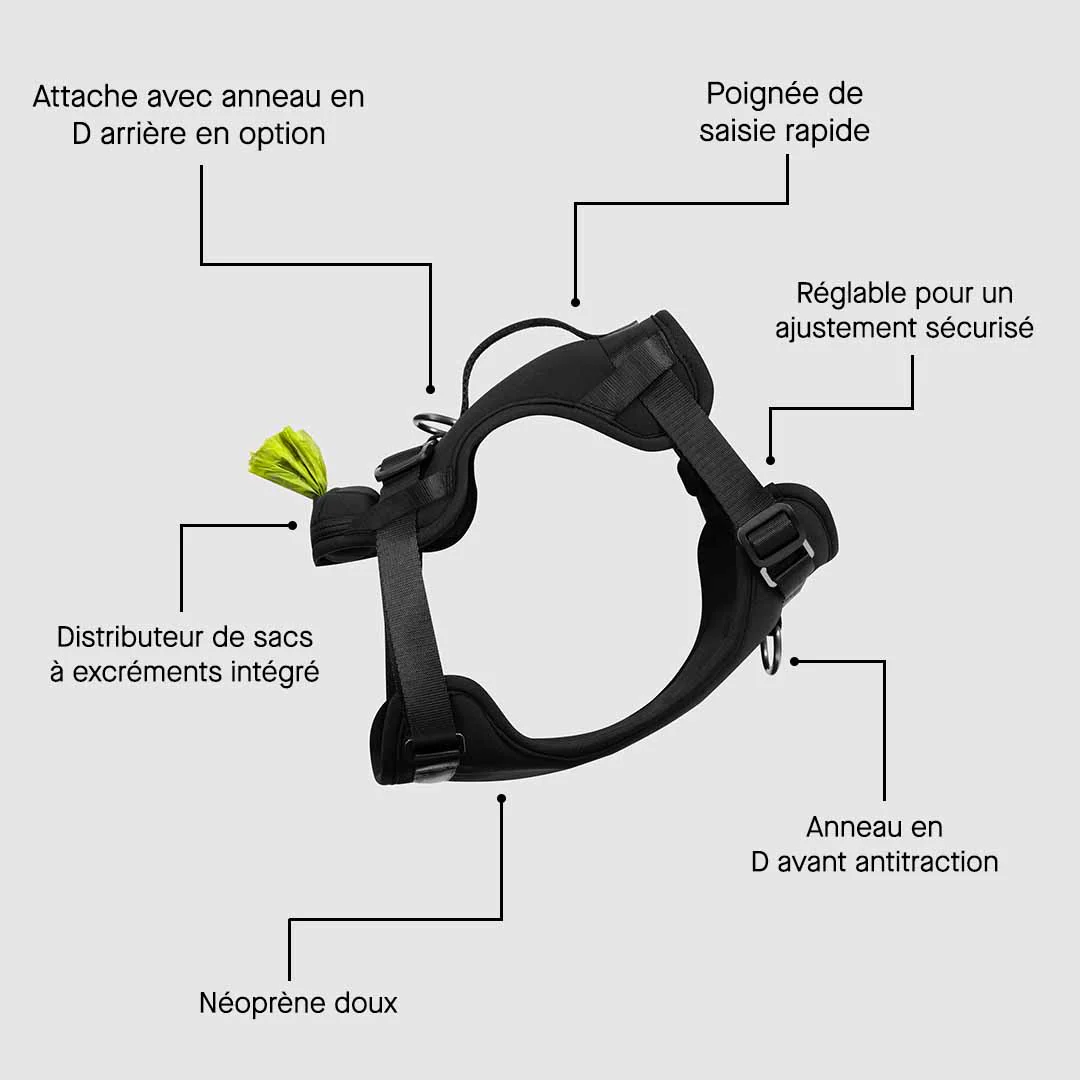 Neoprene Harness - Image 6