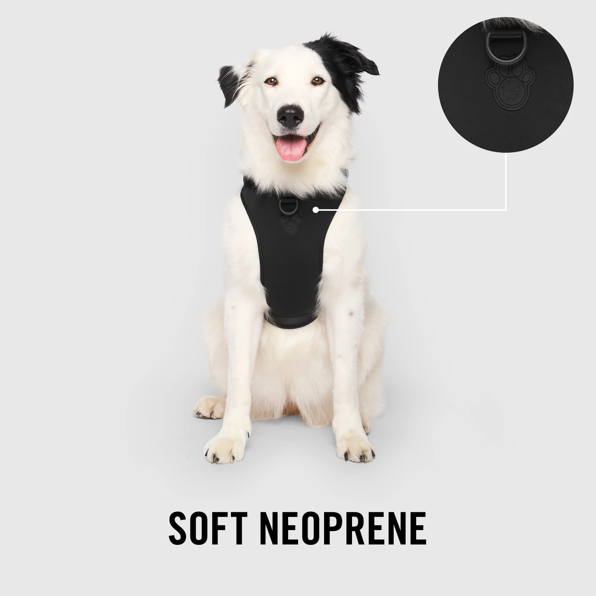 Neoprene Harness - Image 7