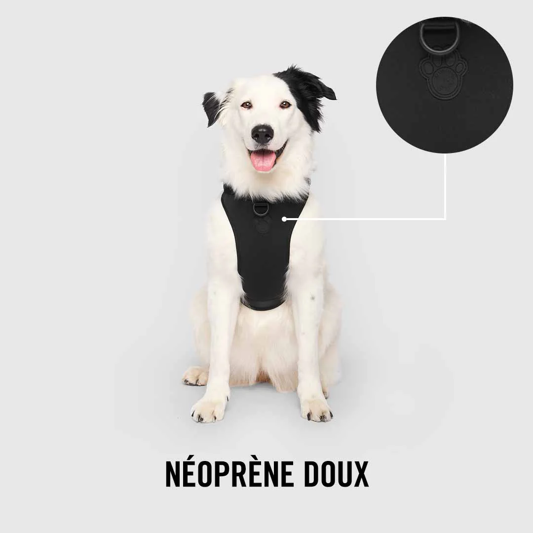 Neoprene Harness - Image 8