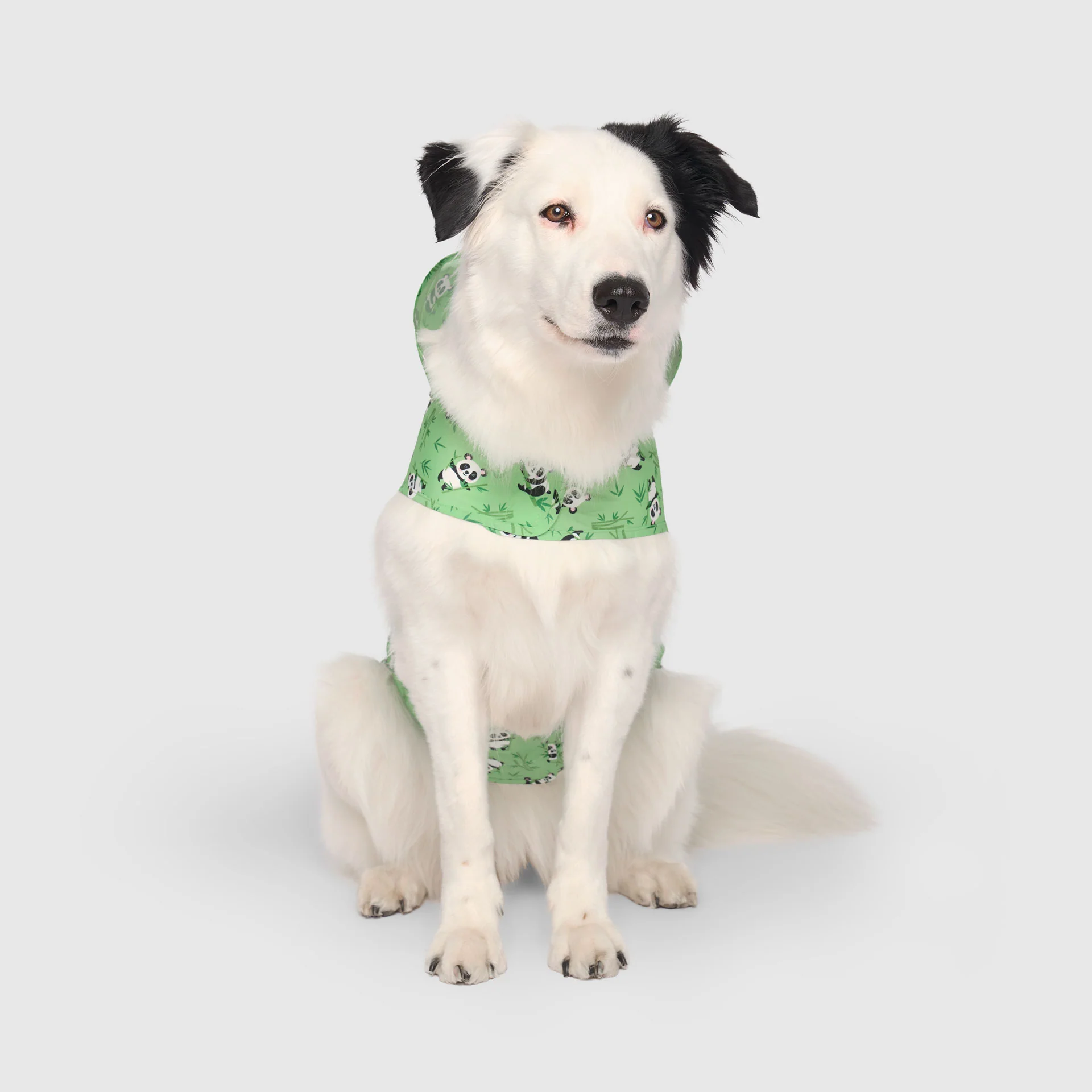Pick Me Poncho - Image 11
