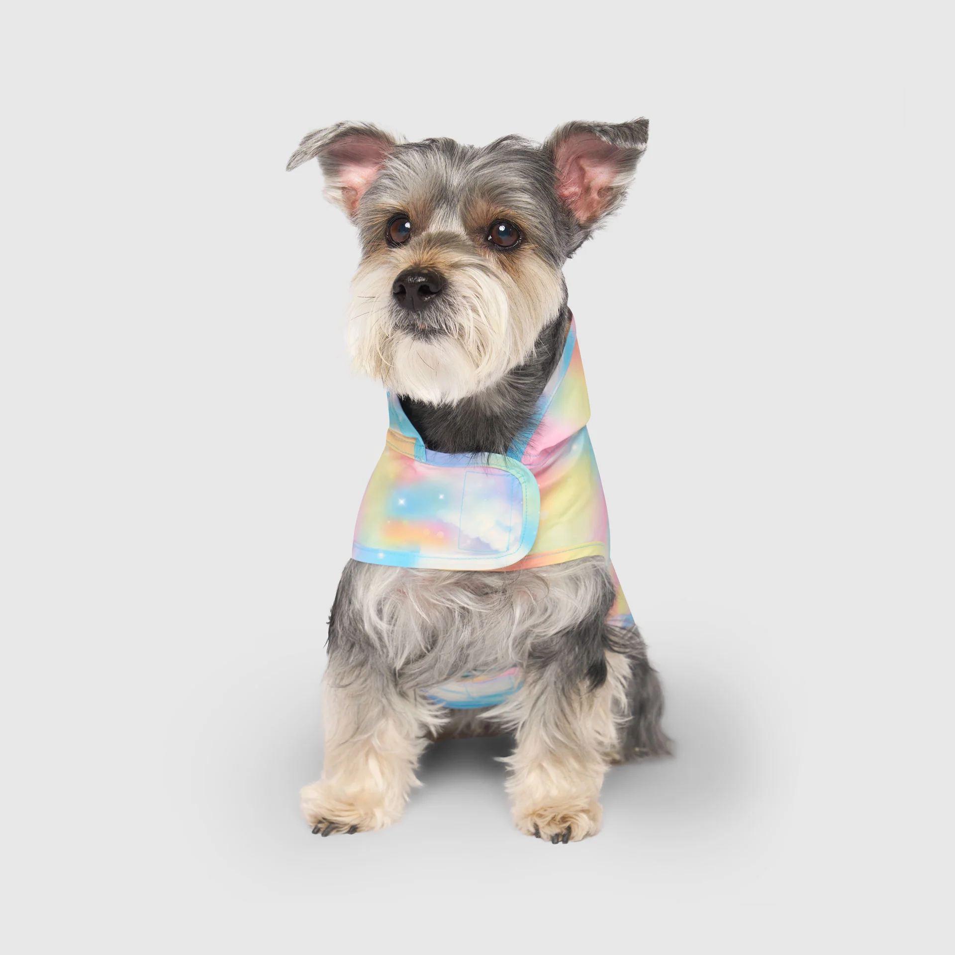 Pick Me Poncho - Image 3