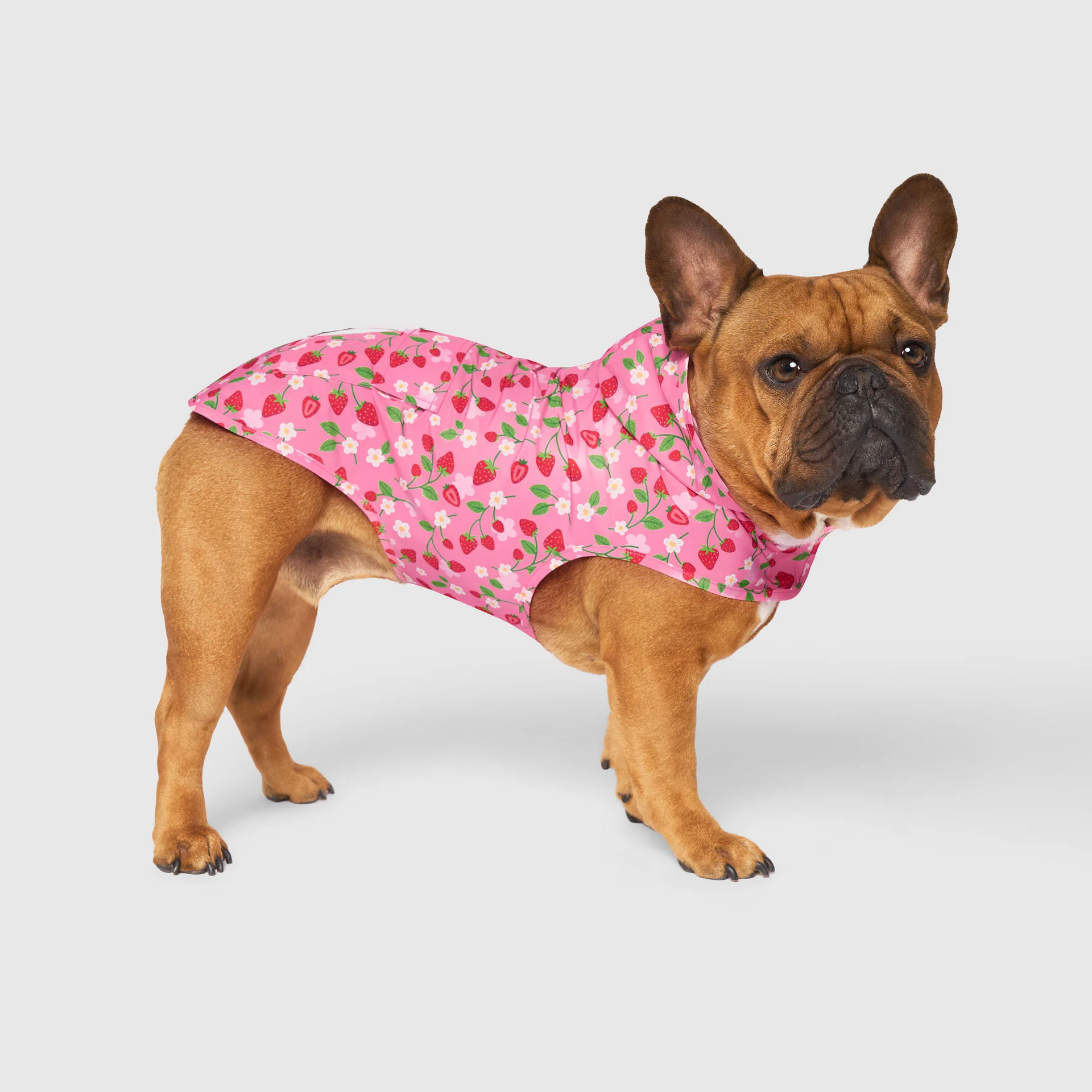 Pick Me Poncho - Image 5