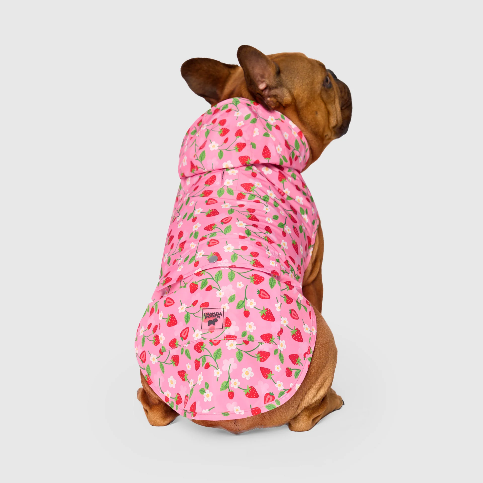 Pick Me Poncho - Image 6