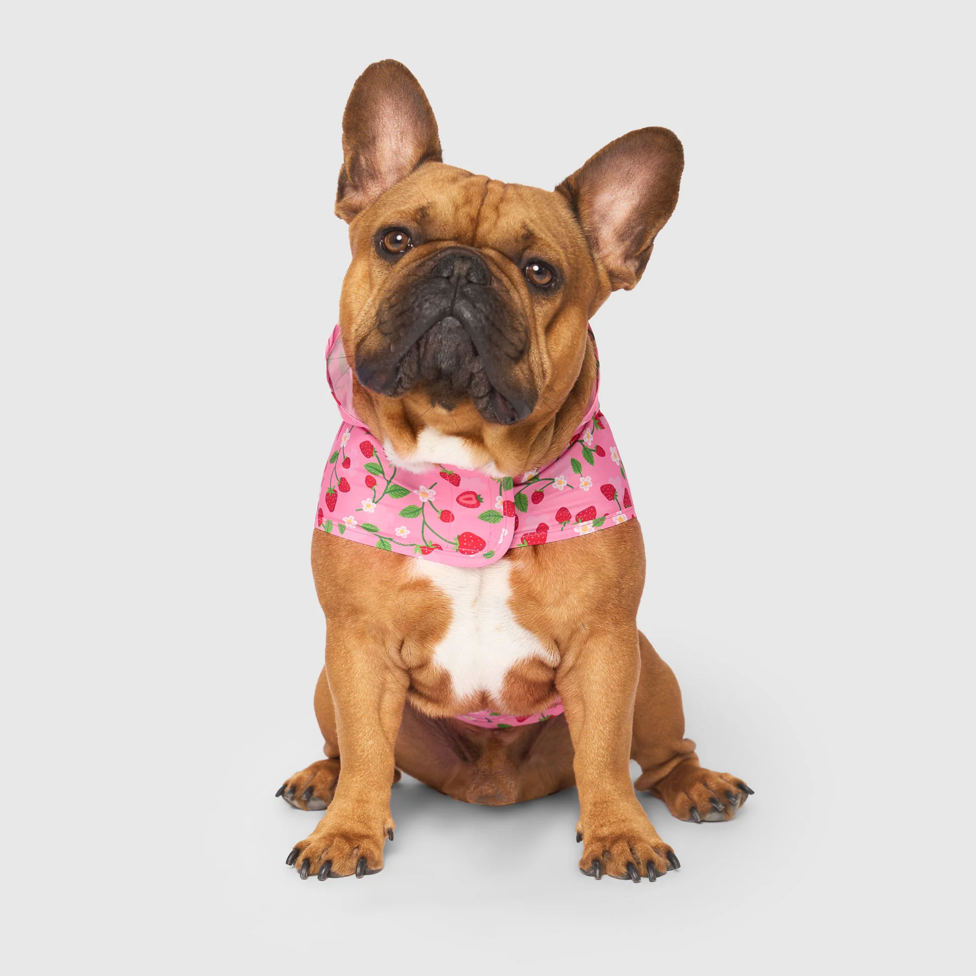Pick Me Poncho - Image 7