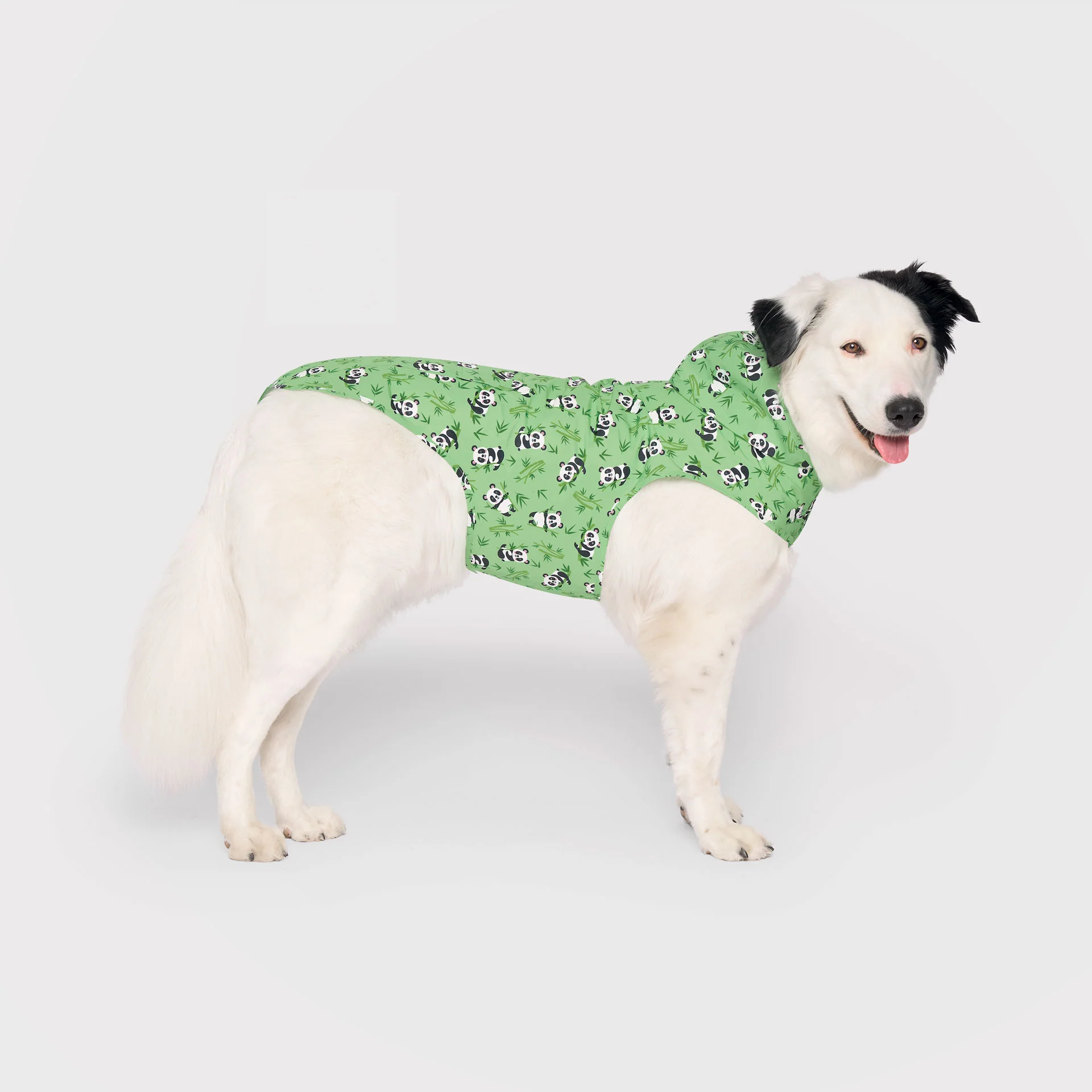 Pick Me Poncho - Image 9