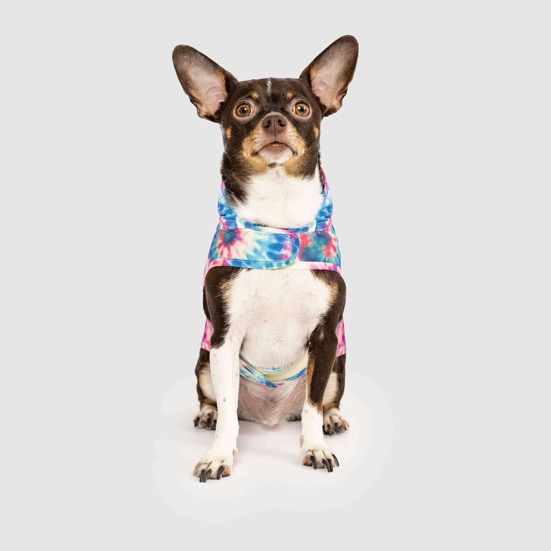 Pick Me Poncho - Image 12