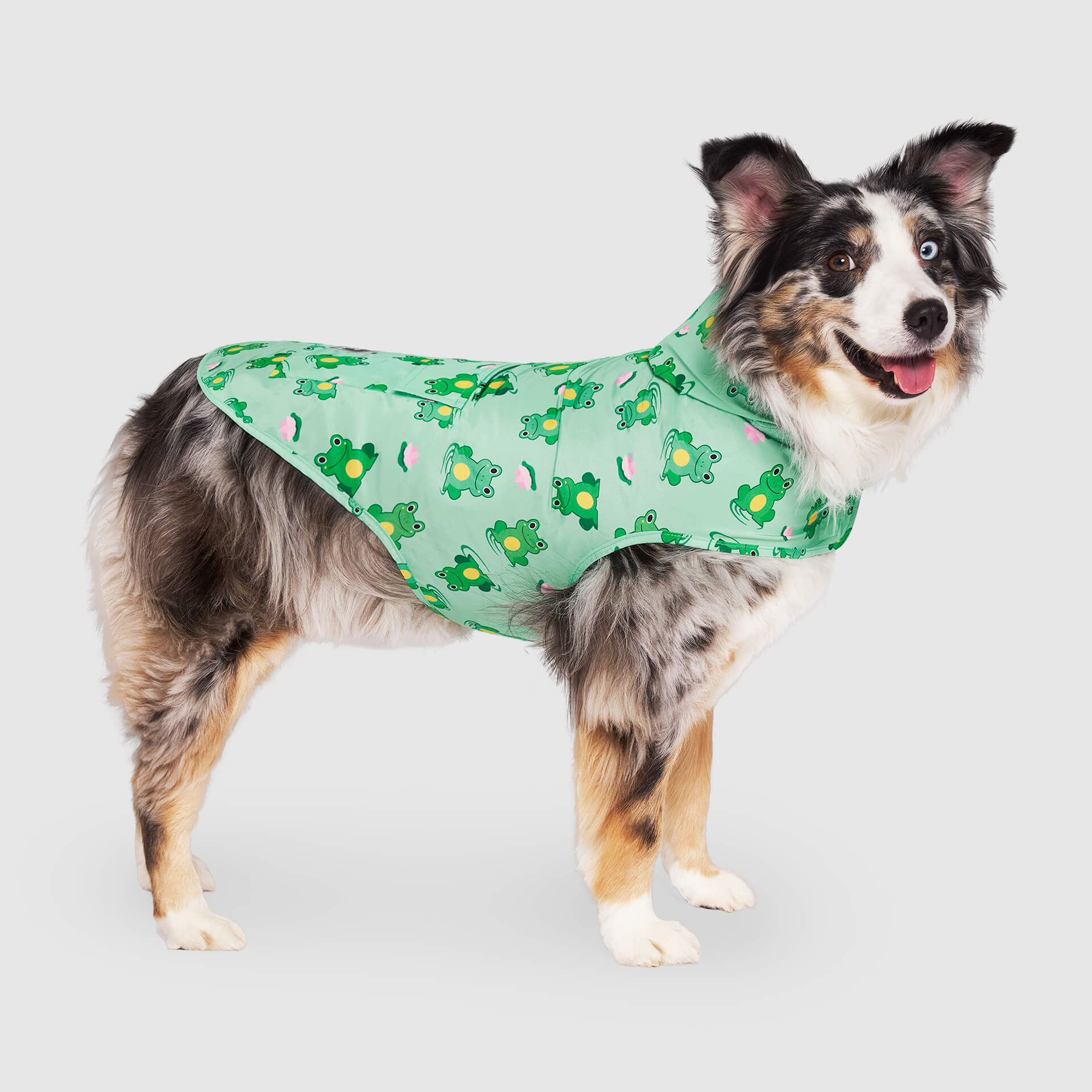 Pick Me Poncho - Image 15