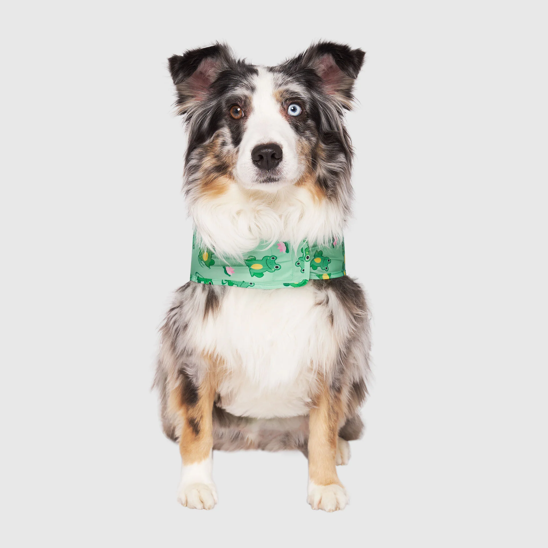 Pick Me Poncho - Image 16