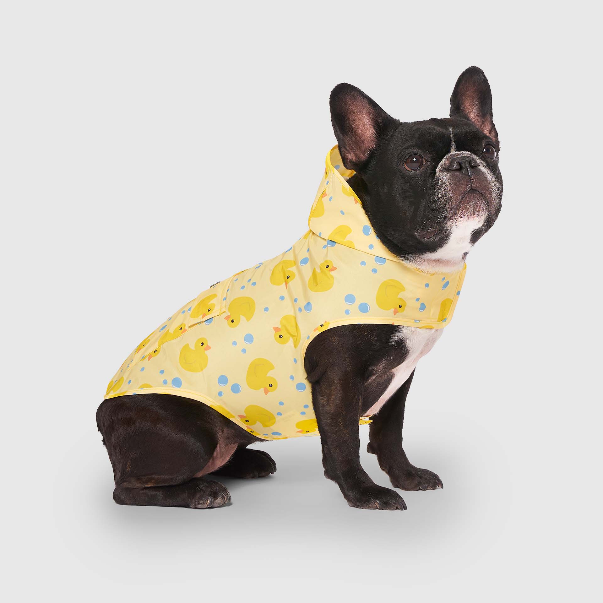 Pick Me Poncho - Image 19