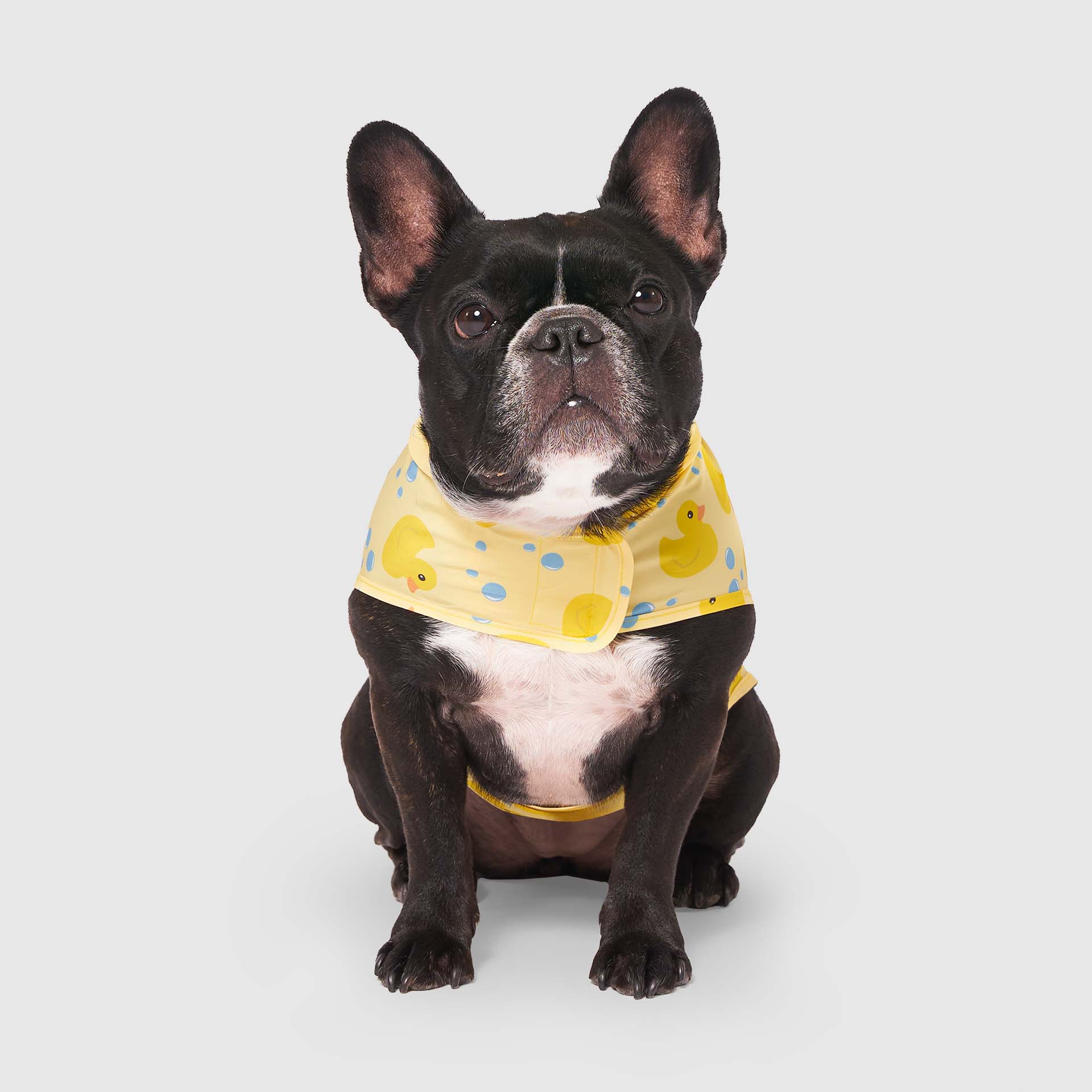 Pick Me Poncho - Image 20