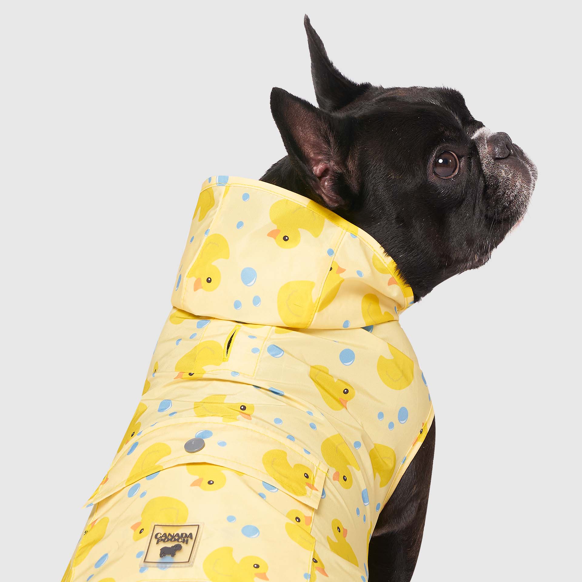 Pick Me Poncho - Image 21