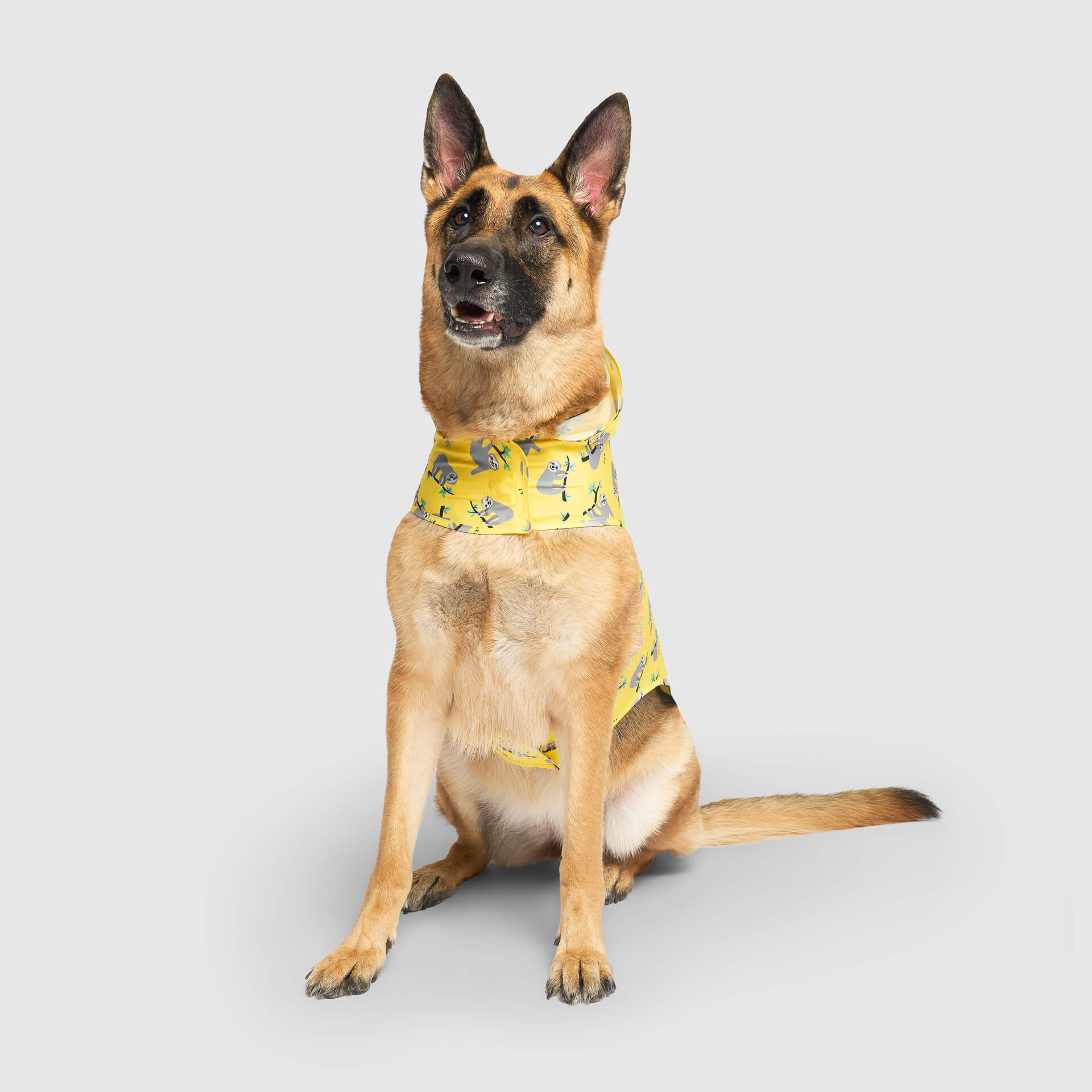 Pick Me Poncho - Image 24