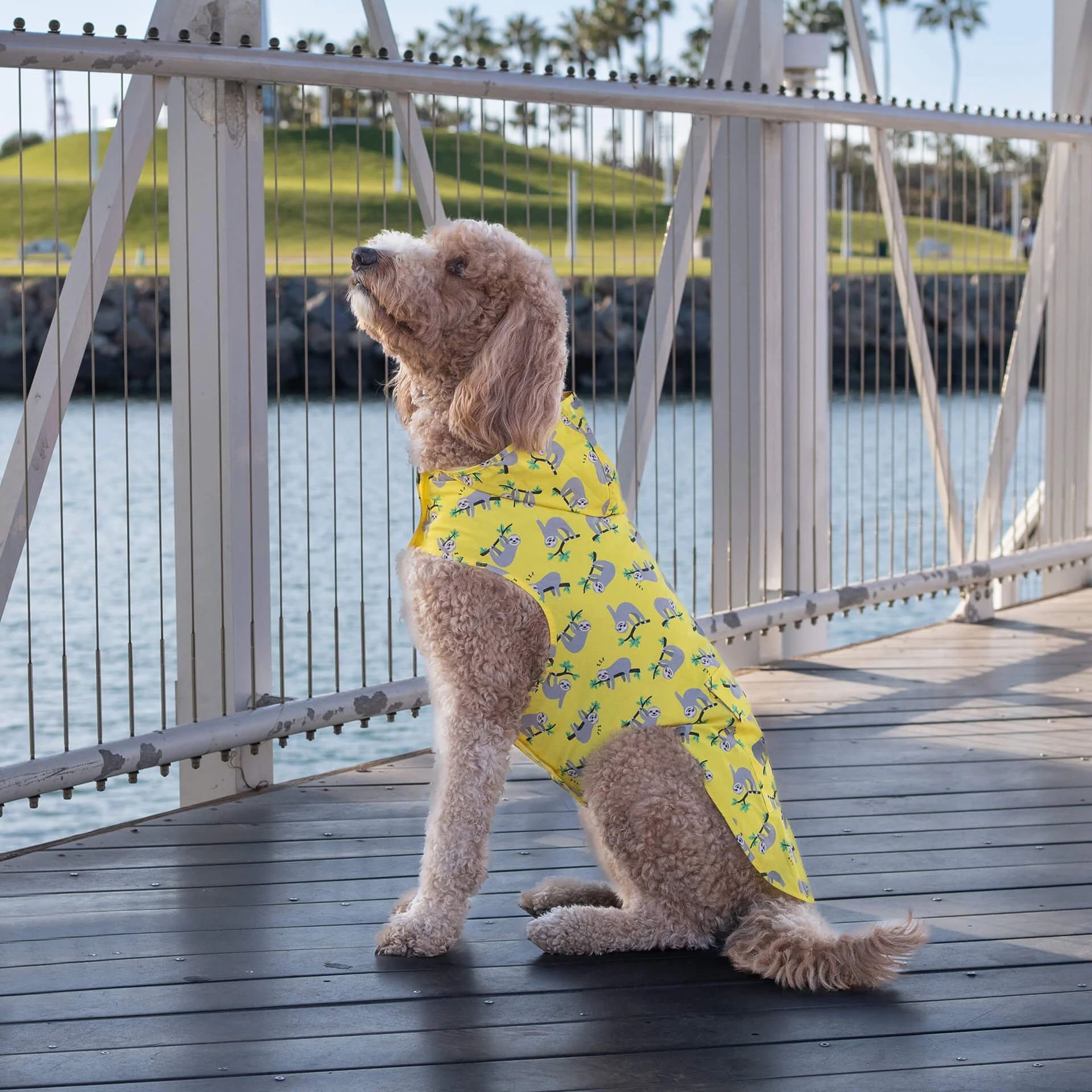 Pick Me Poncho - Image 27