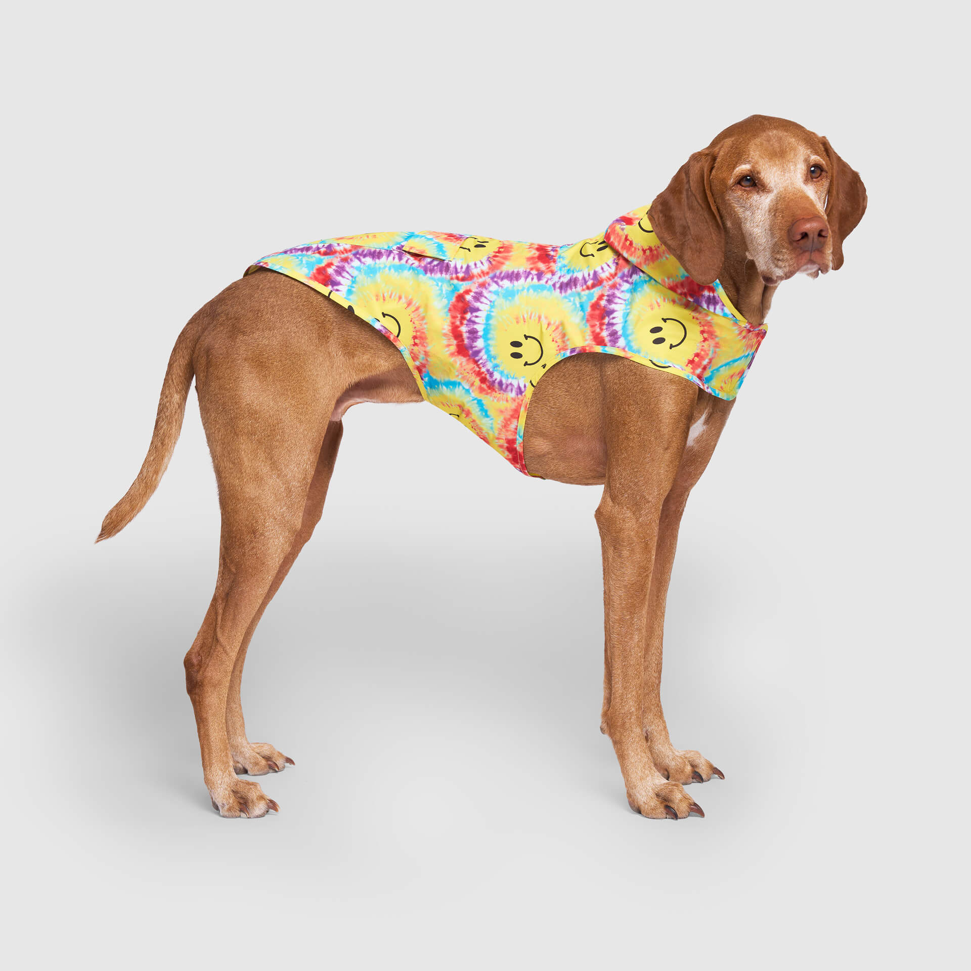 Pick Me Poncho - Image 28