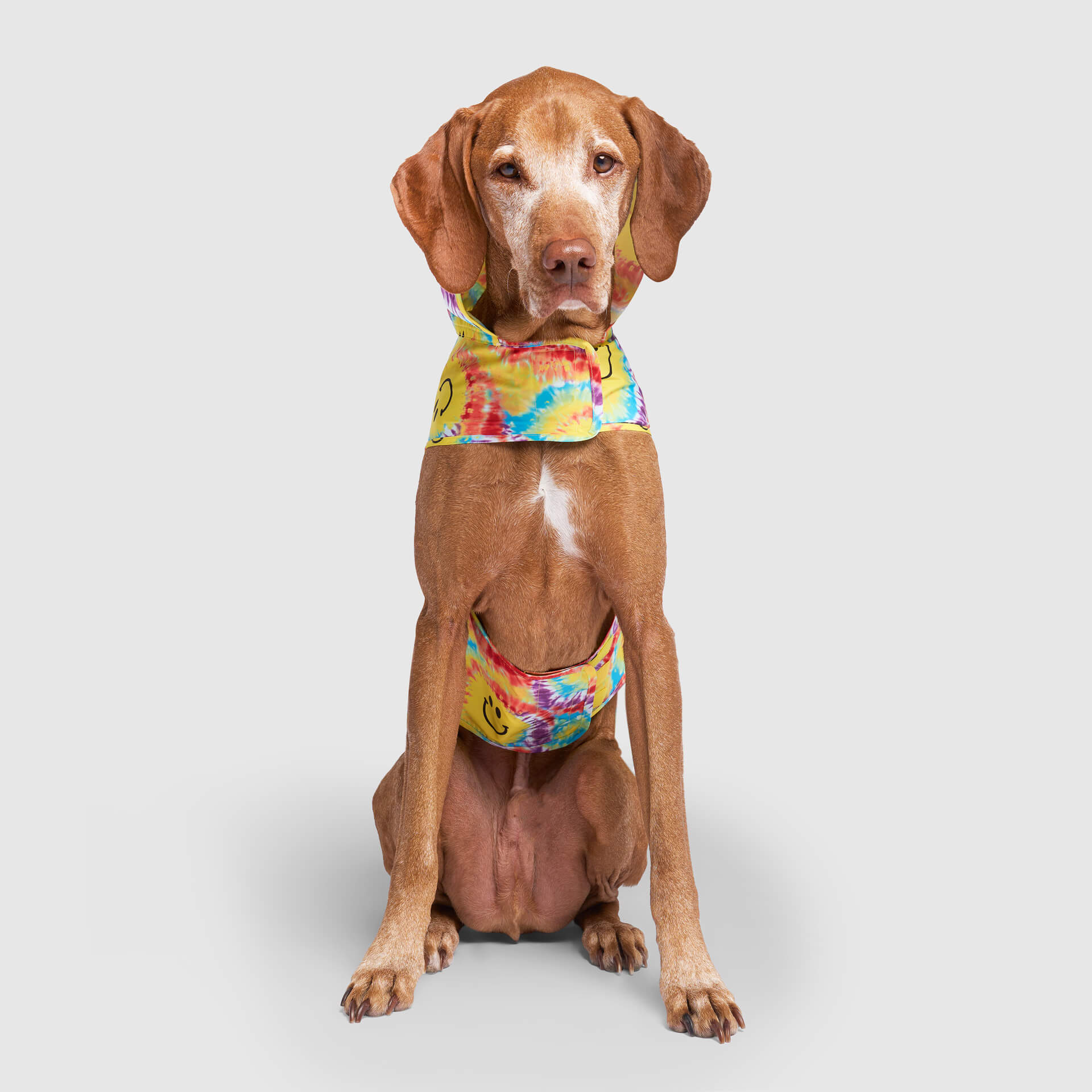 Pick Me Poncho - Image 29