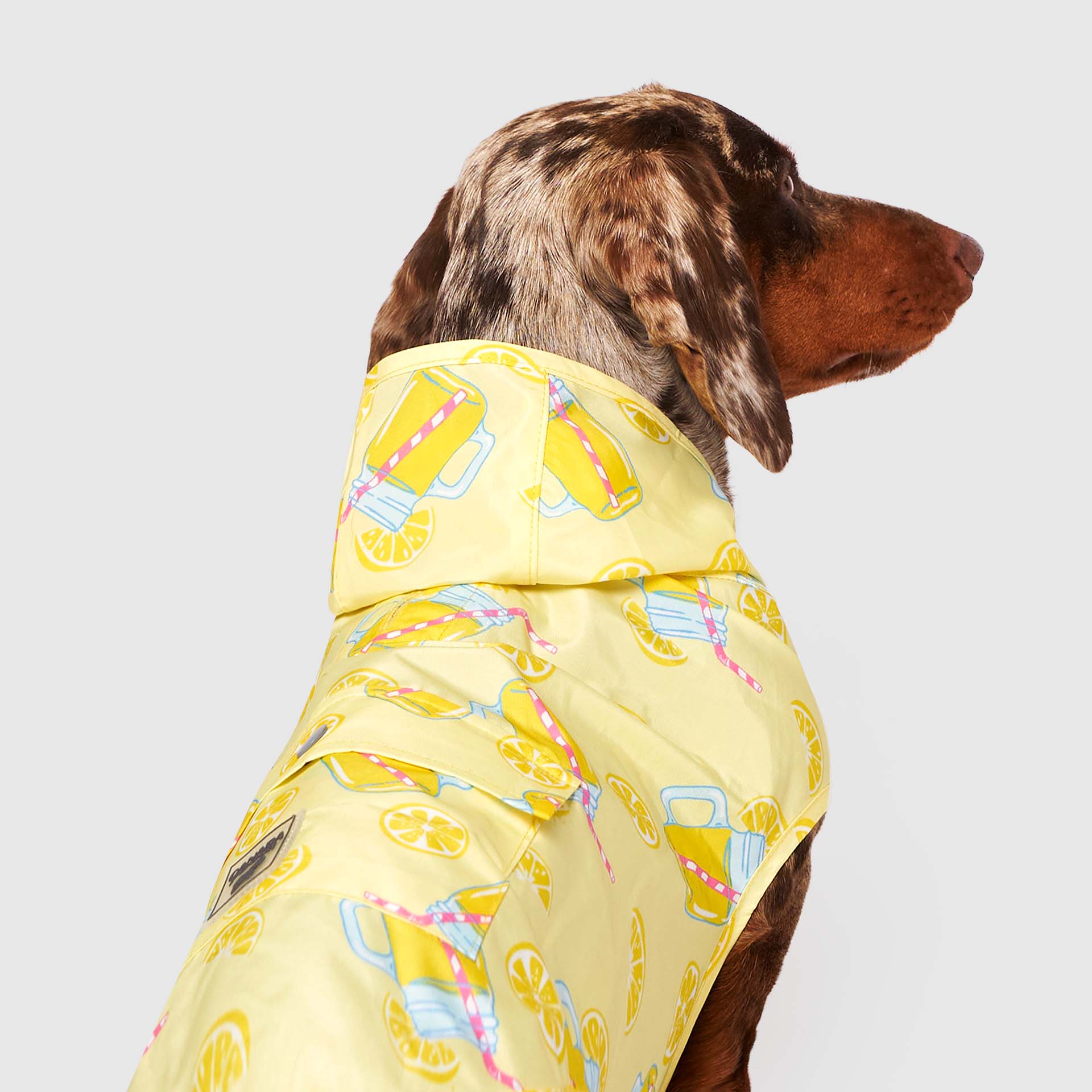 Pick Me Poncho - Image 3