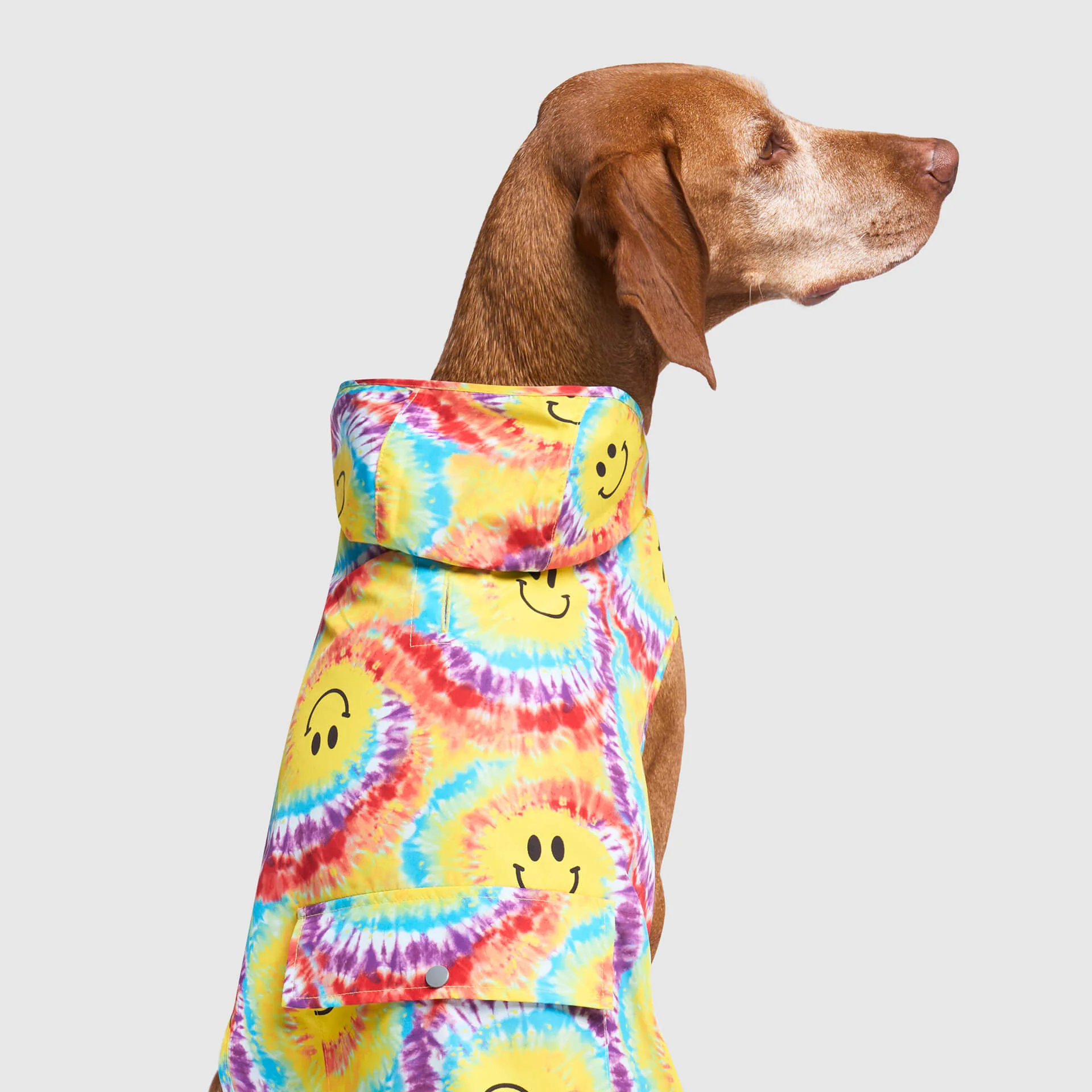 Pick Me Poncho - Image 30