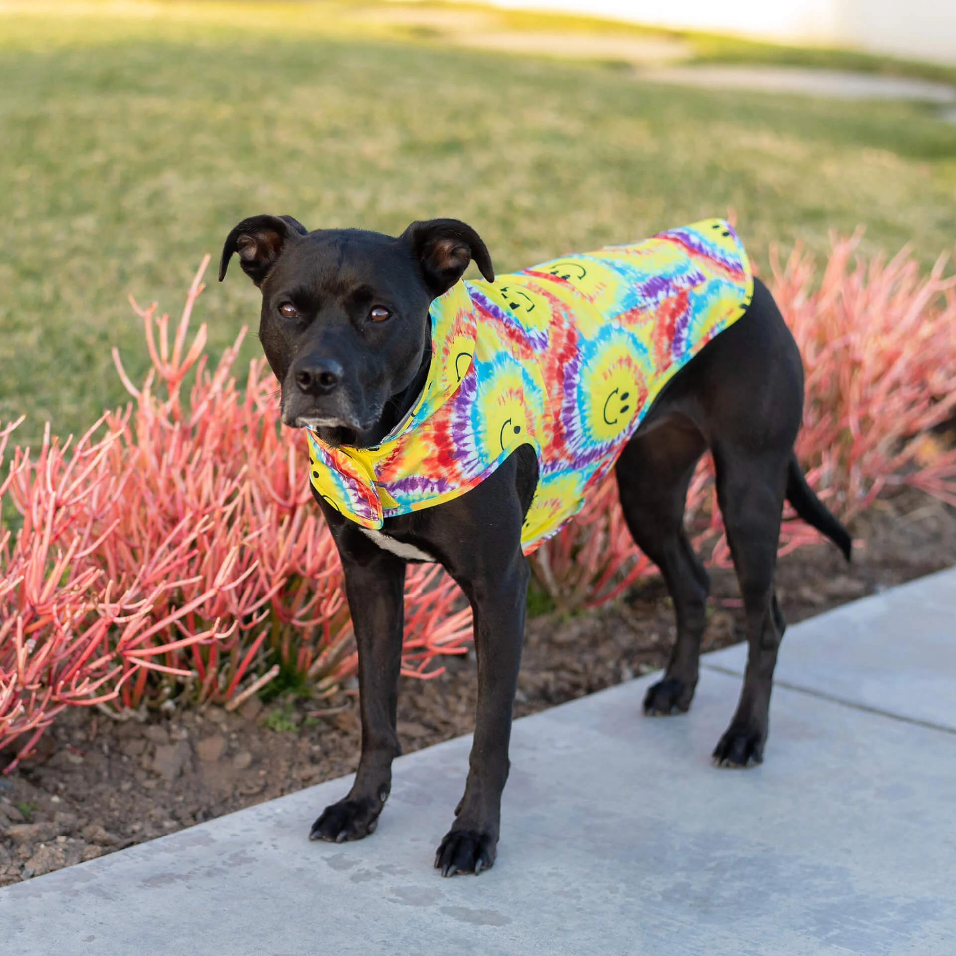 Pick Me Poncho - Image 32