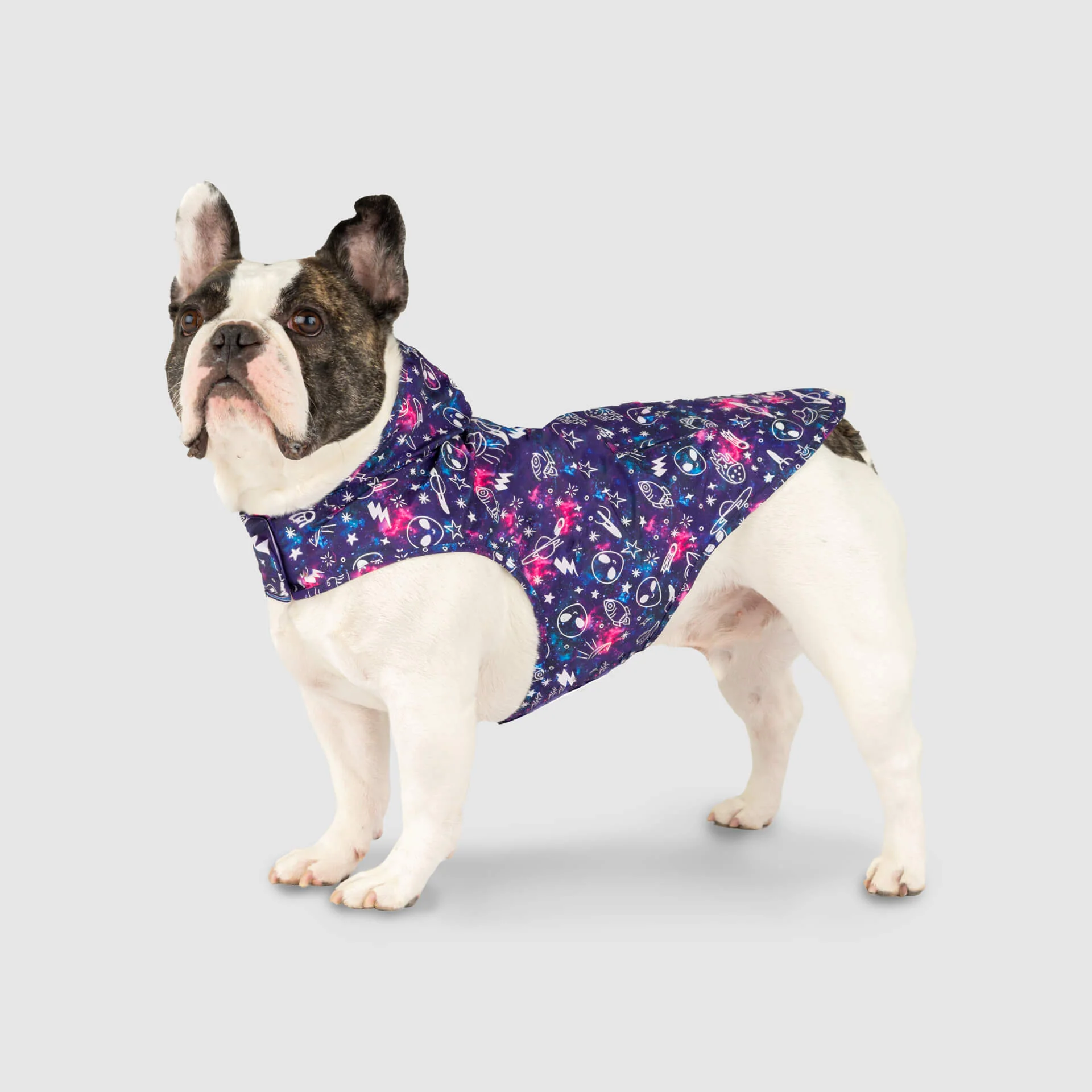 Pick Me Poncho - Image 6