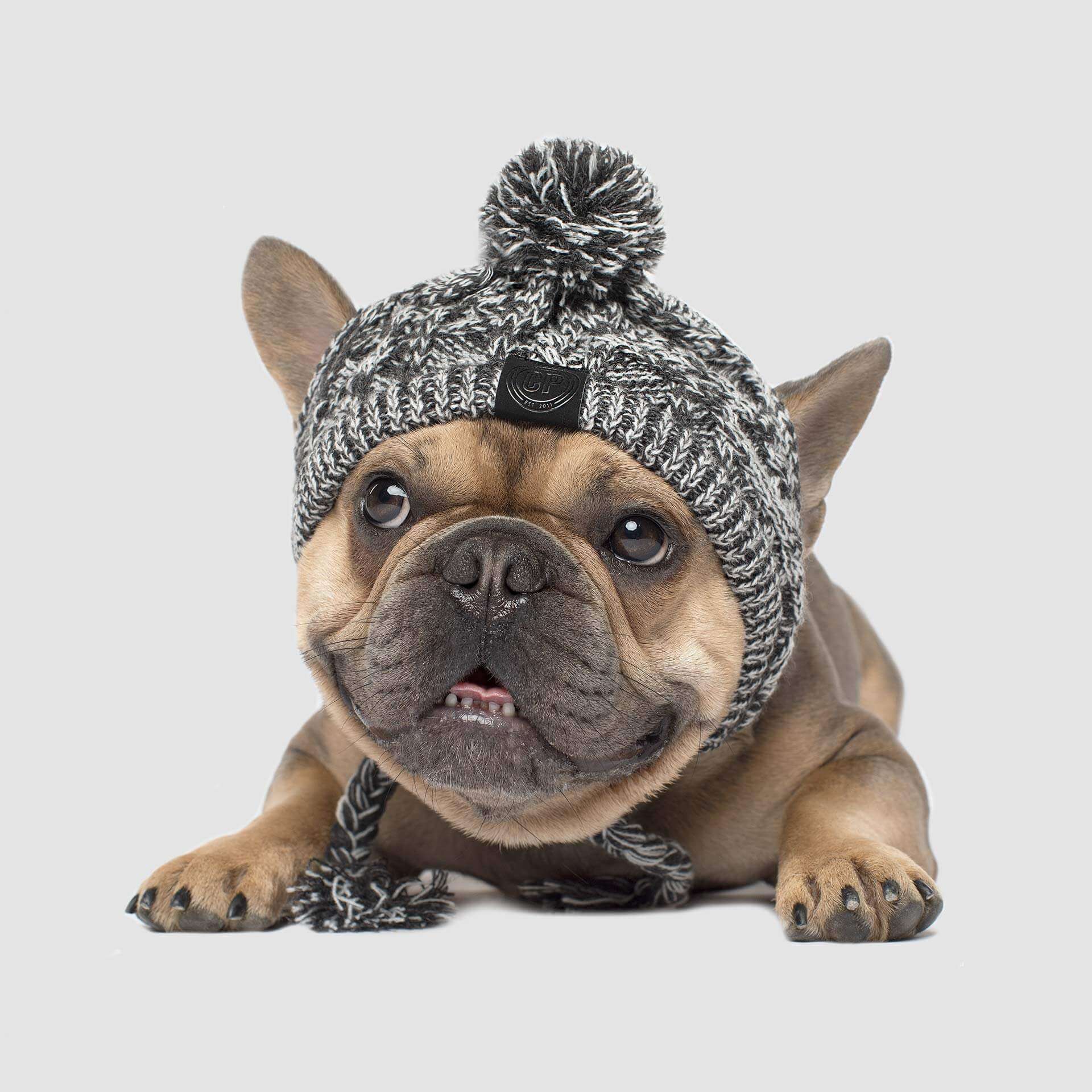 Polar Pom Pom Hat - Image 4