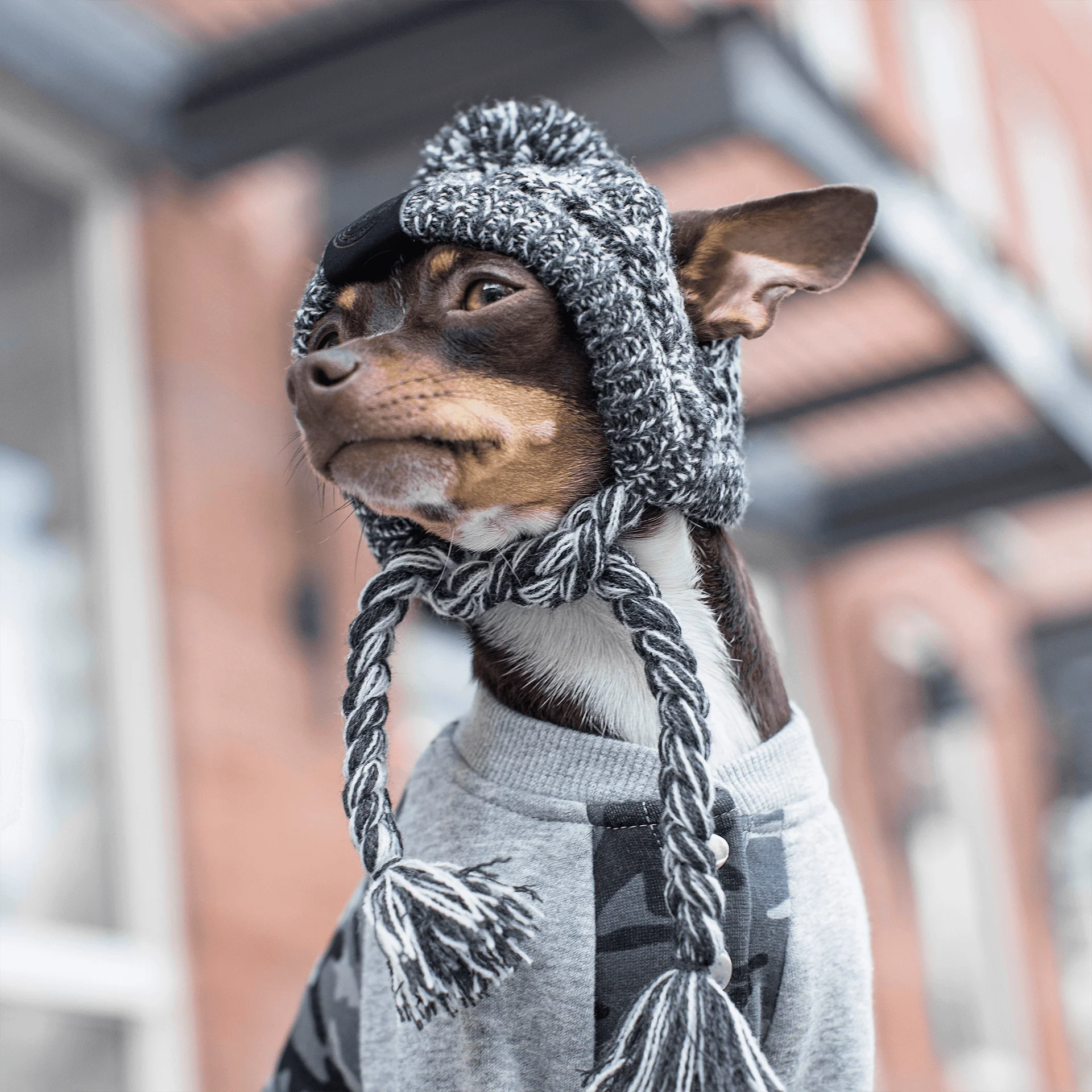 Polar Pom Pom Hat - Image 6