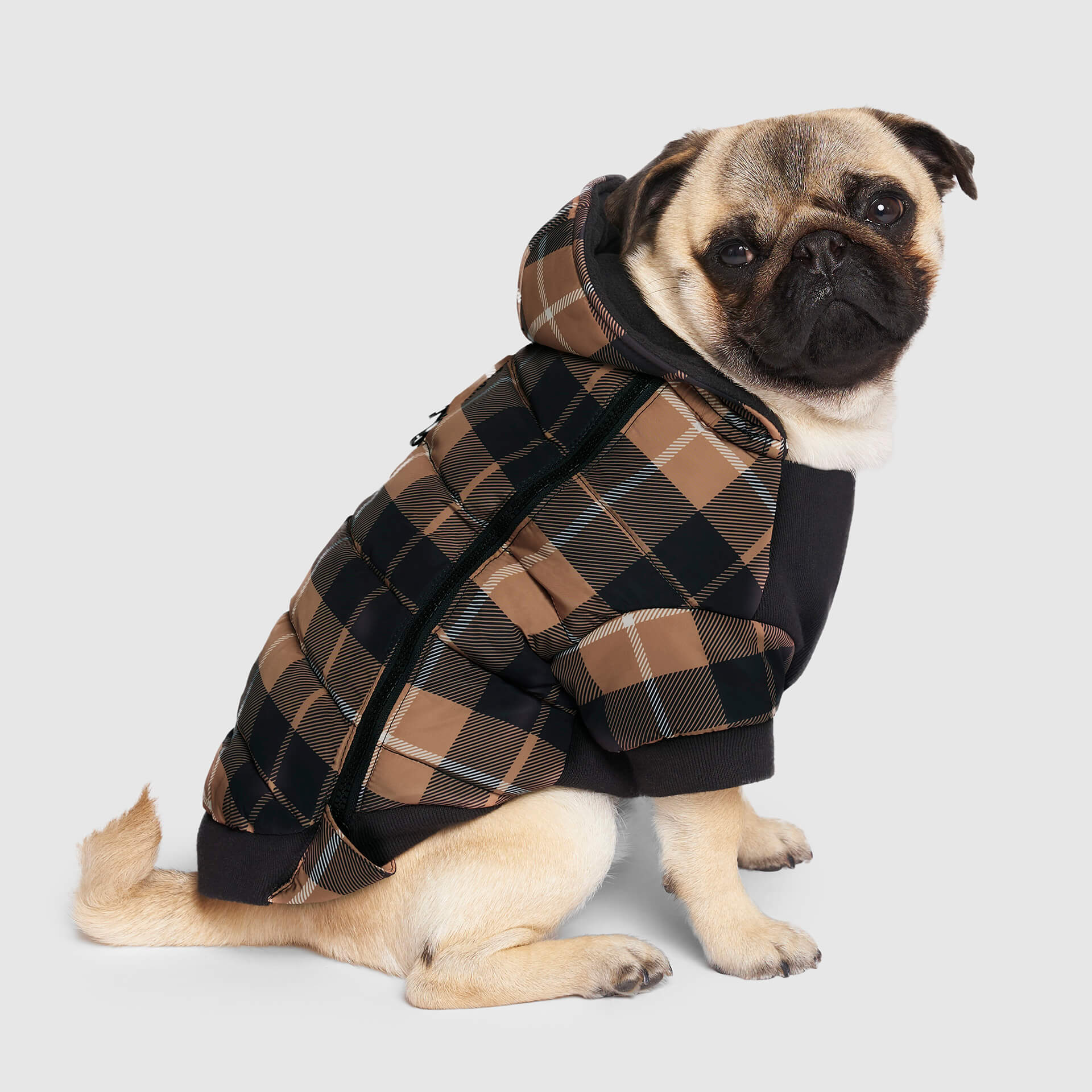 Prism Puffer - Image 11
