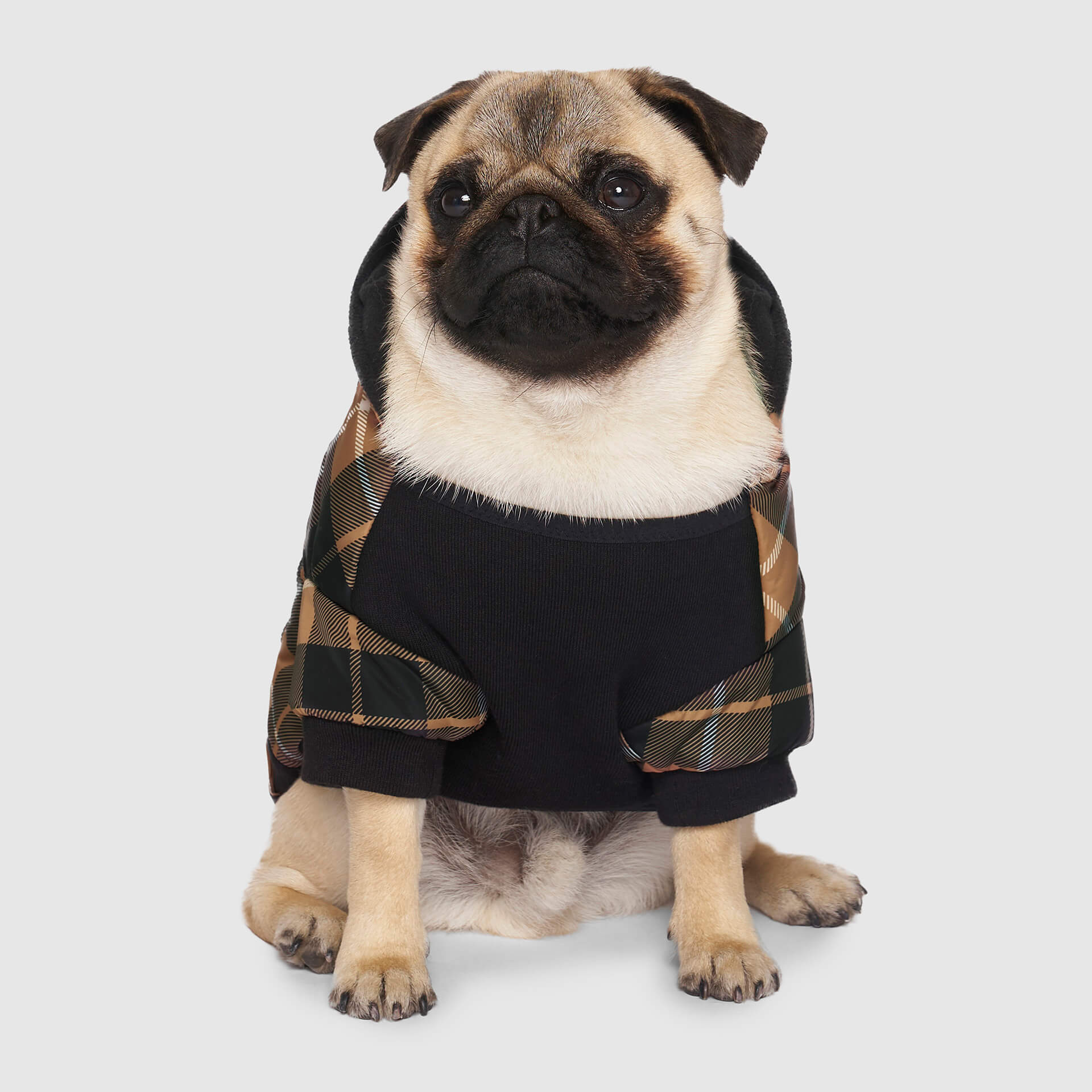 Prism Puffer - Image 12