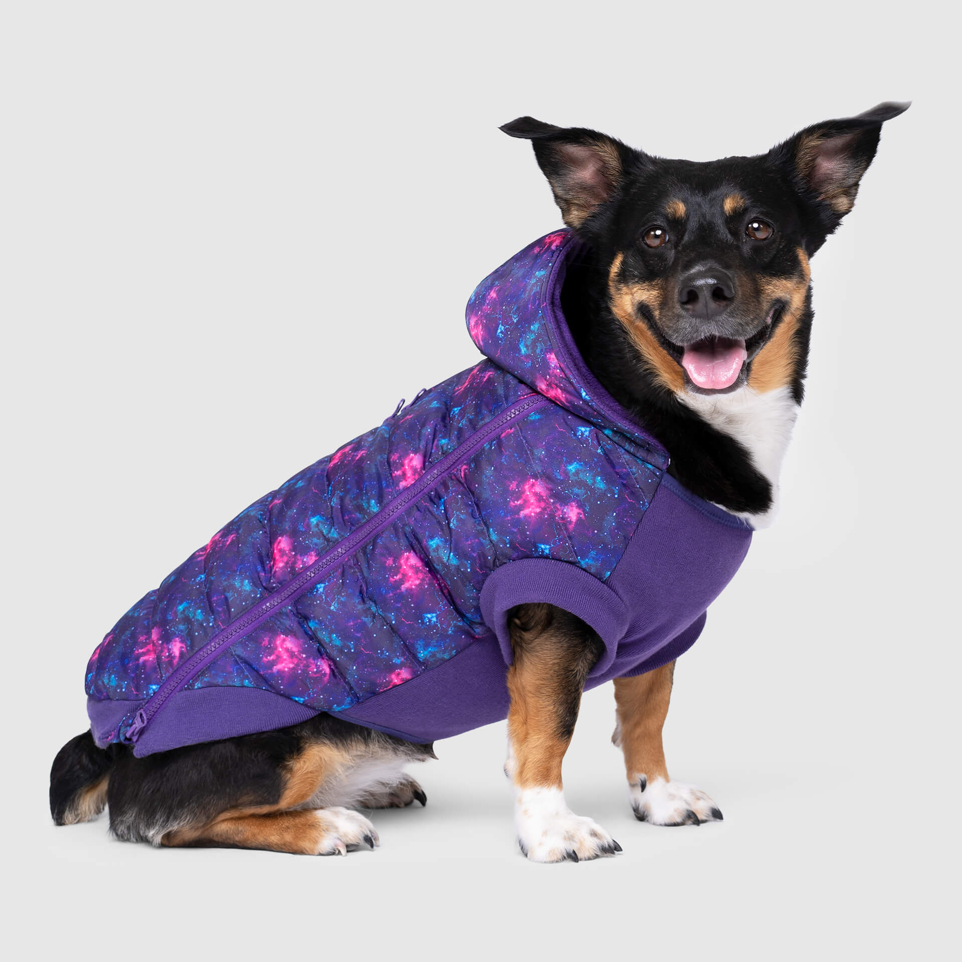 Prism Puffer - Image 21