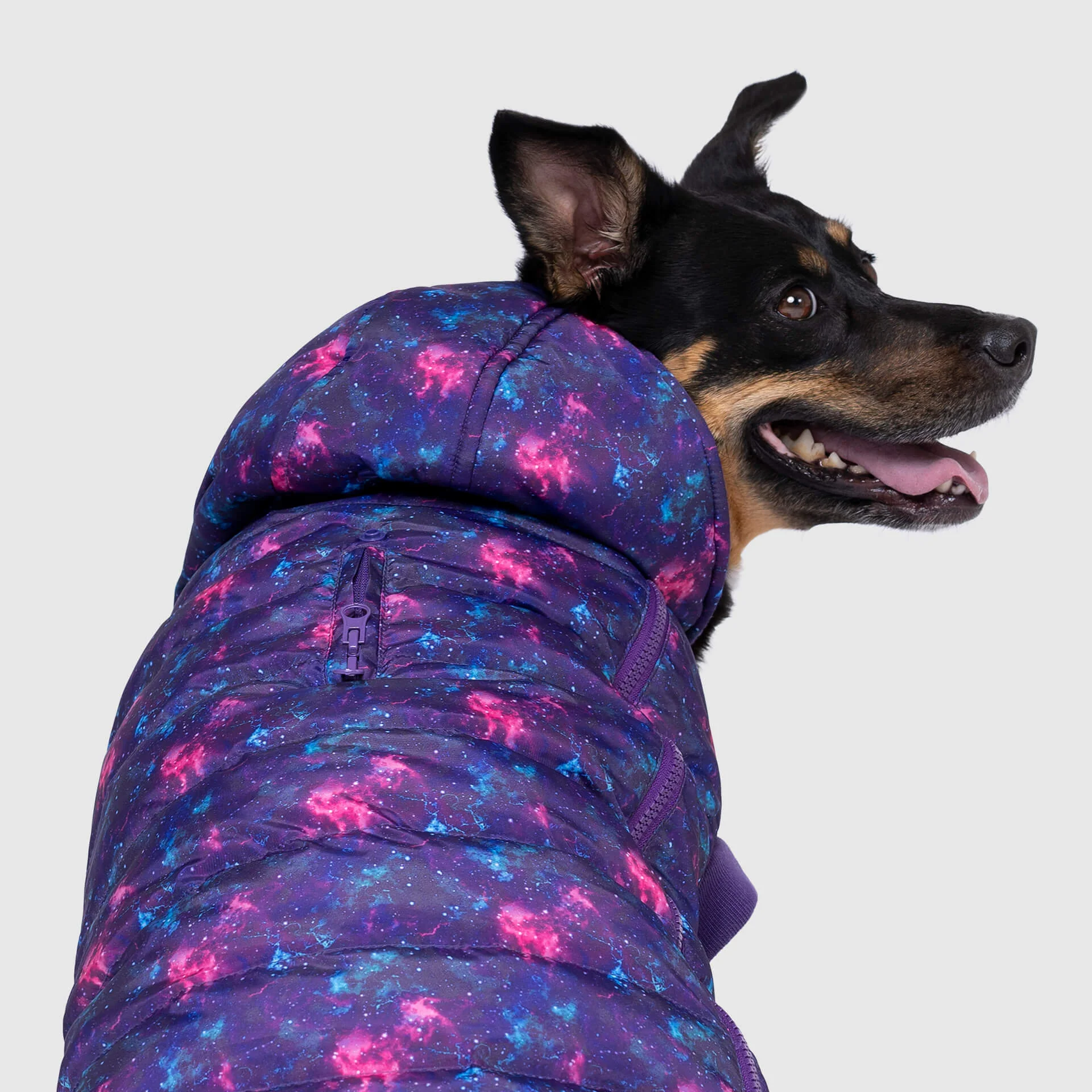 Prism Puffer - Image 23