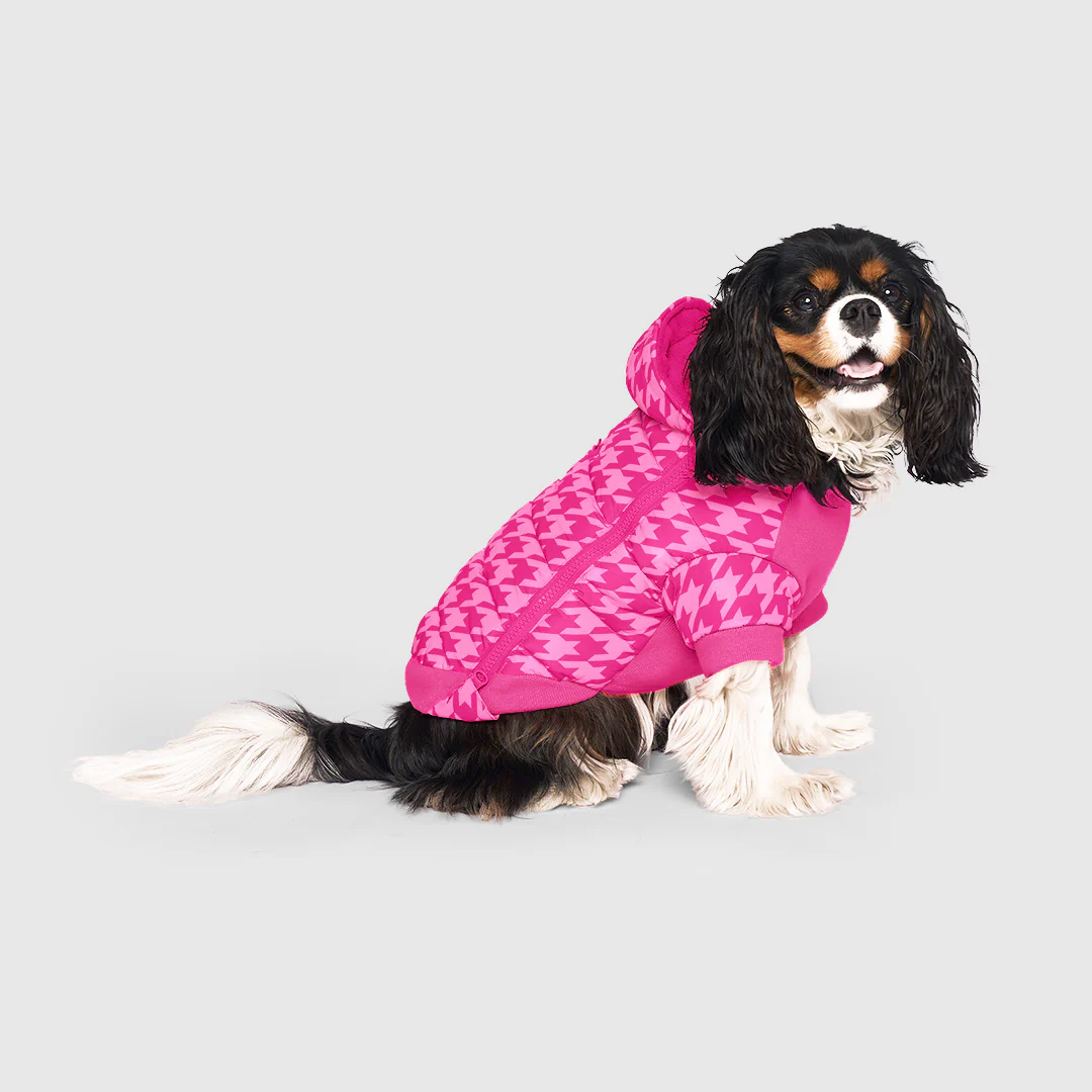 Prism Puffer - Image 26