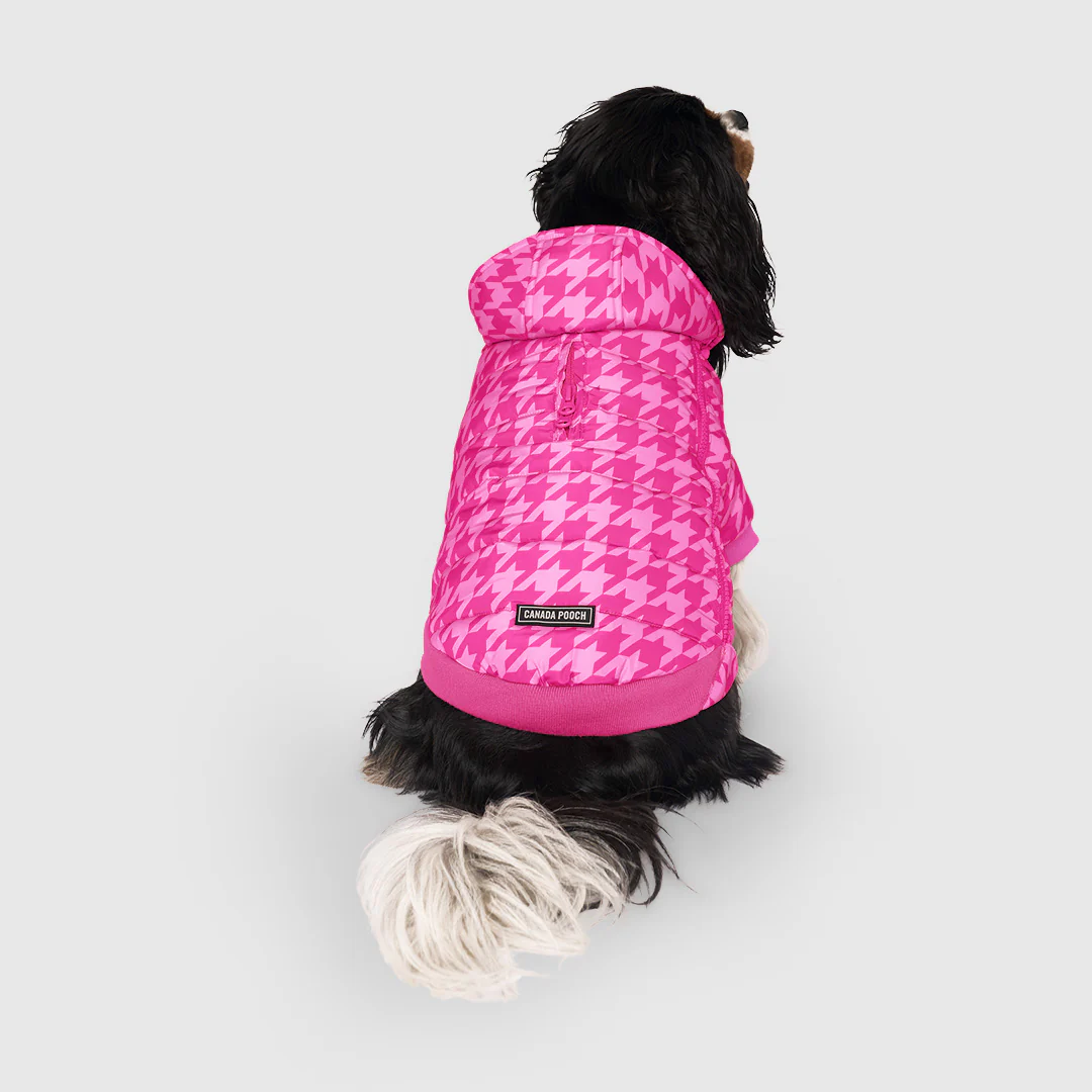 Prism Puffer - Image 28