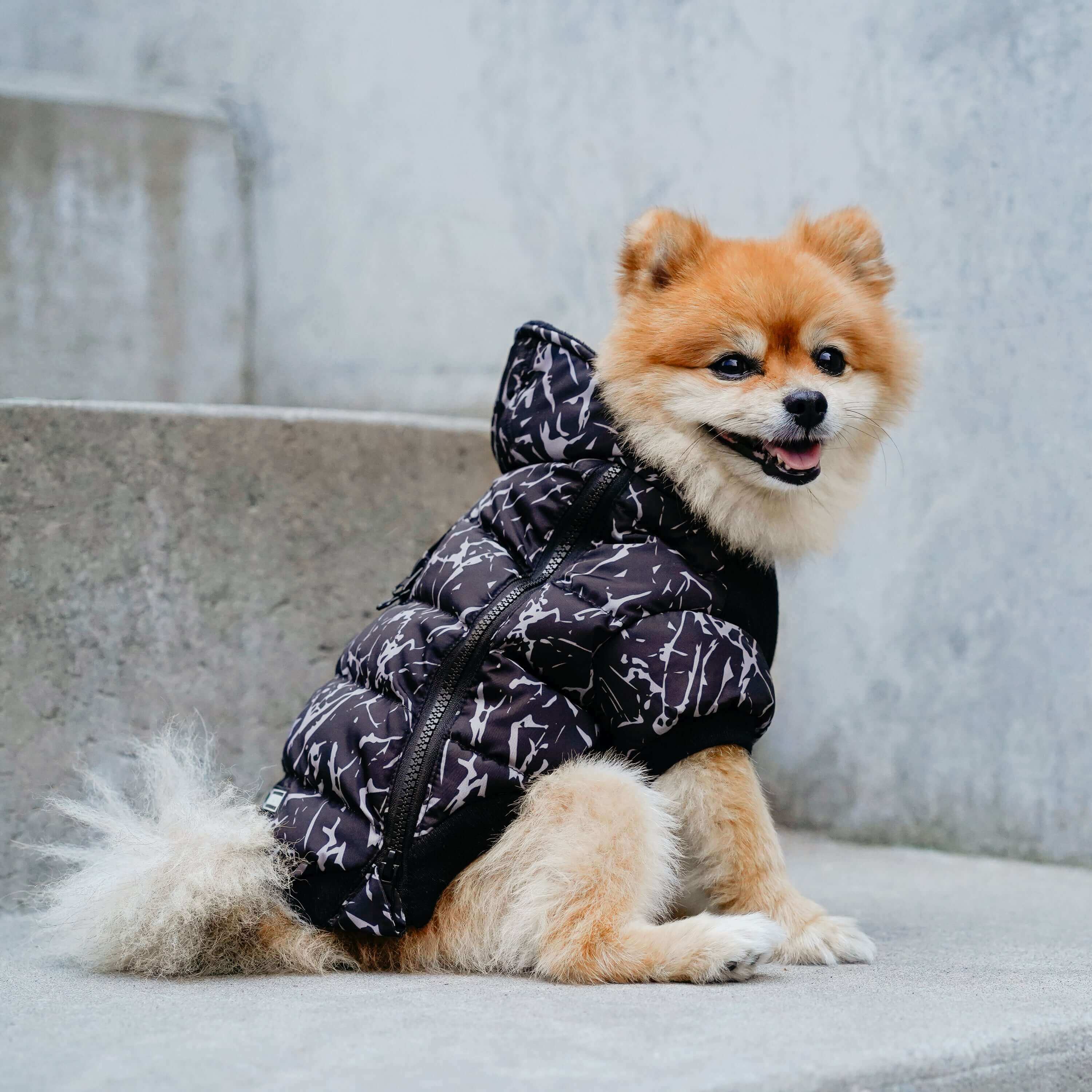 Prism Puffer - Image 5