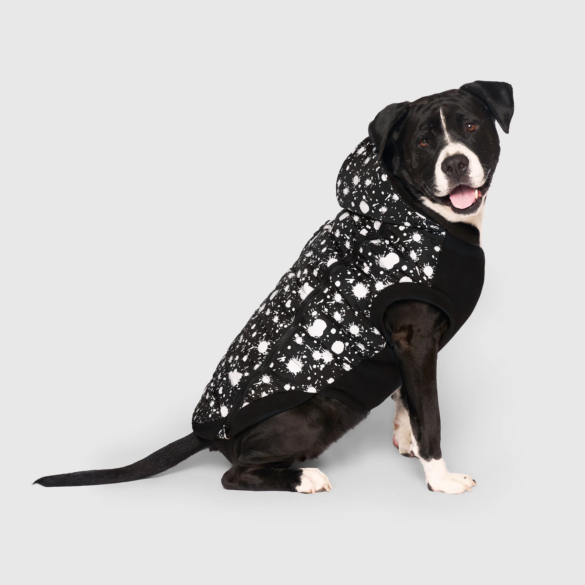 Prism Puffer - Image 6