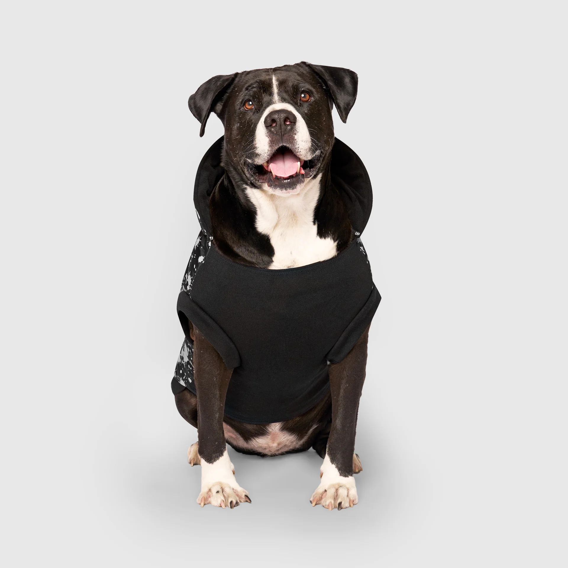 Prism Puffer - Image 8