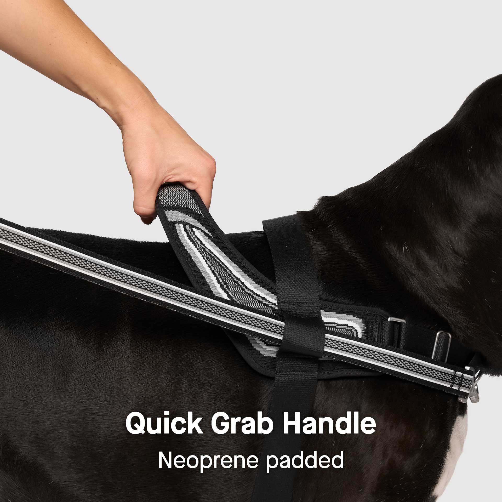Re-Direct Harness - Image 10