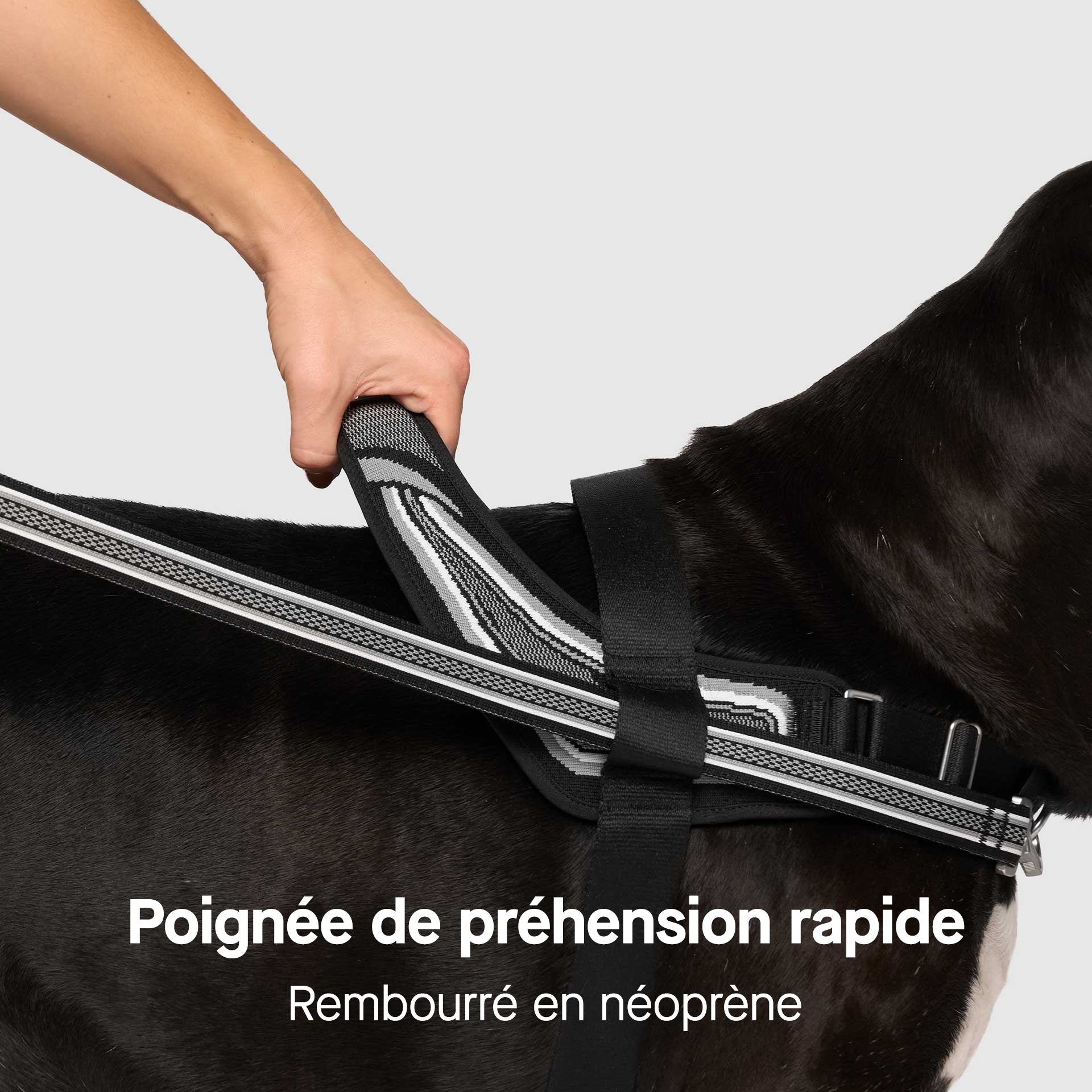 Re-Direct Harness - Image 11