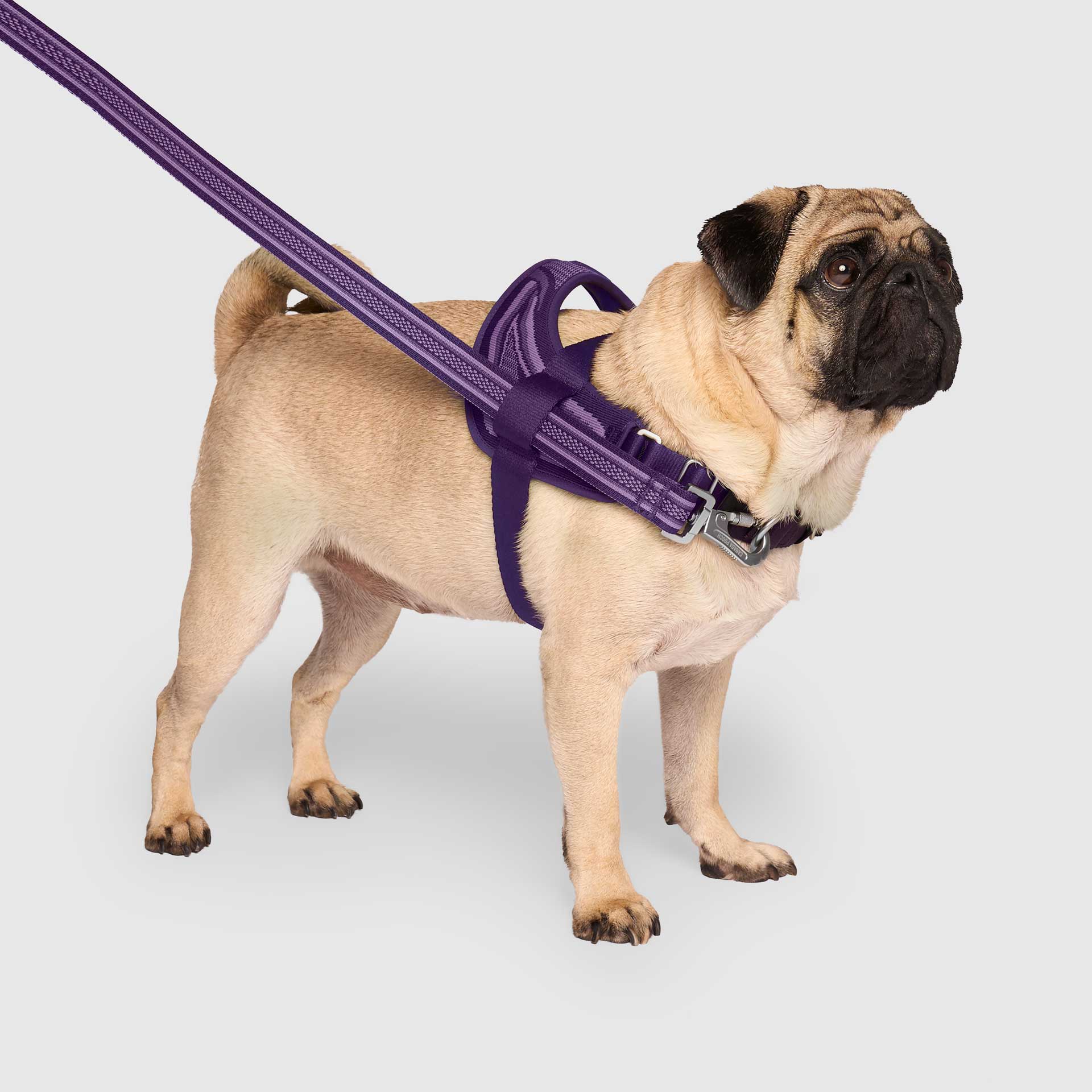 Re-Direct Harness - Image 14