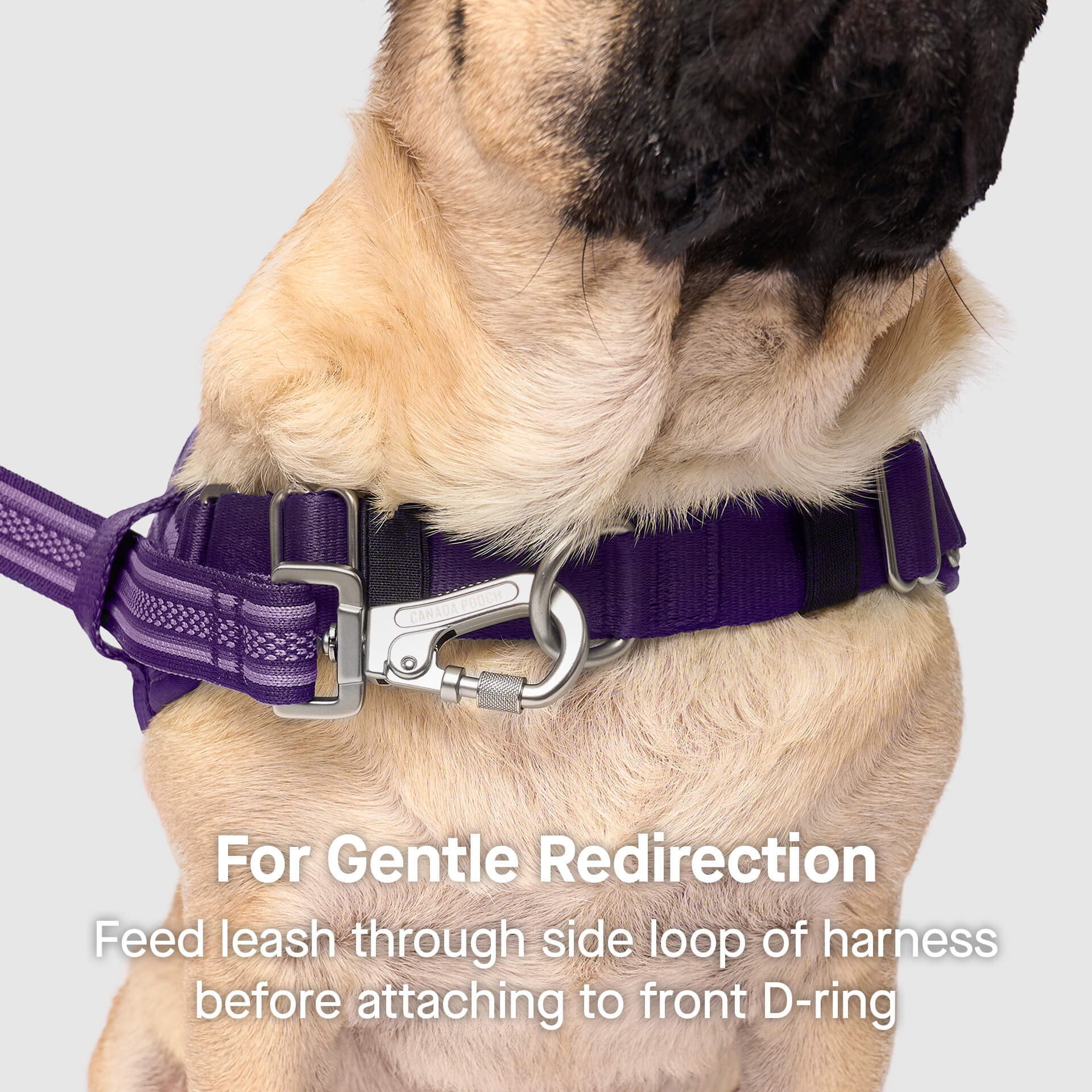 Re-Direct Harness - Image 15
